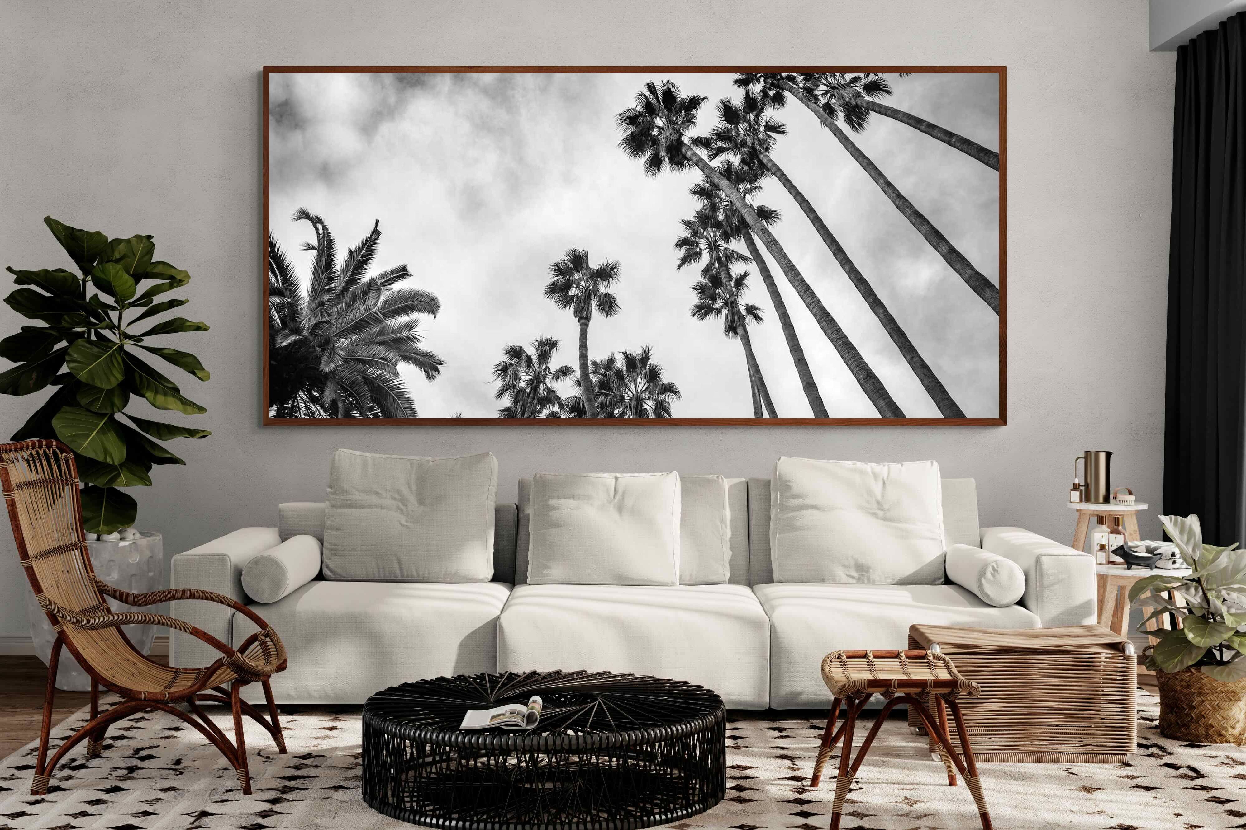 Pixalot ® Palms