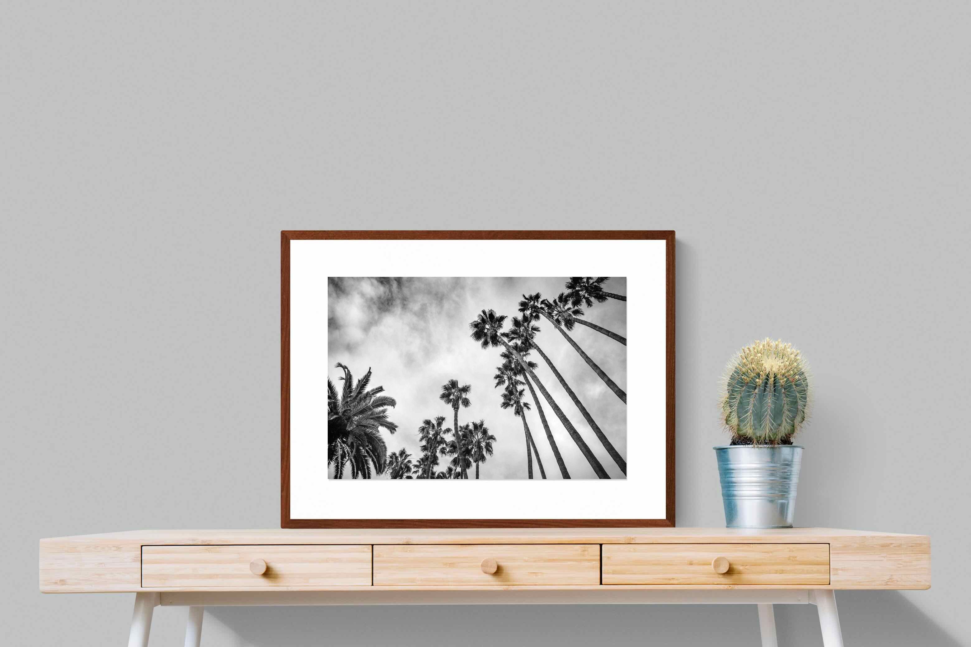 Pixalot ® Palms