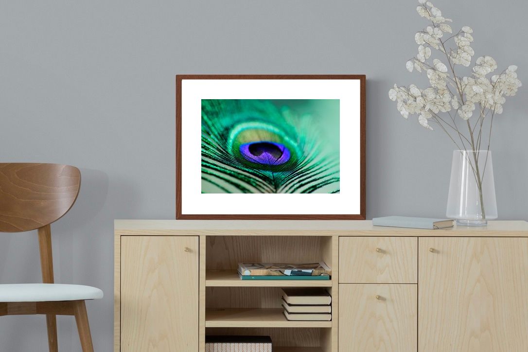 Pixalot ® Peacock Feather