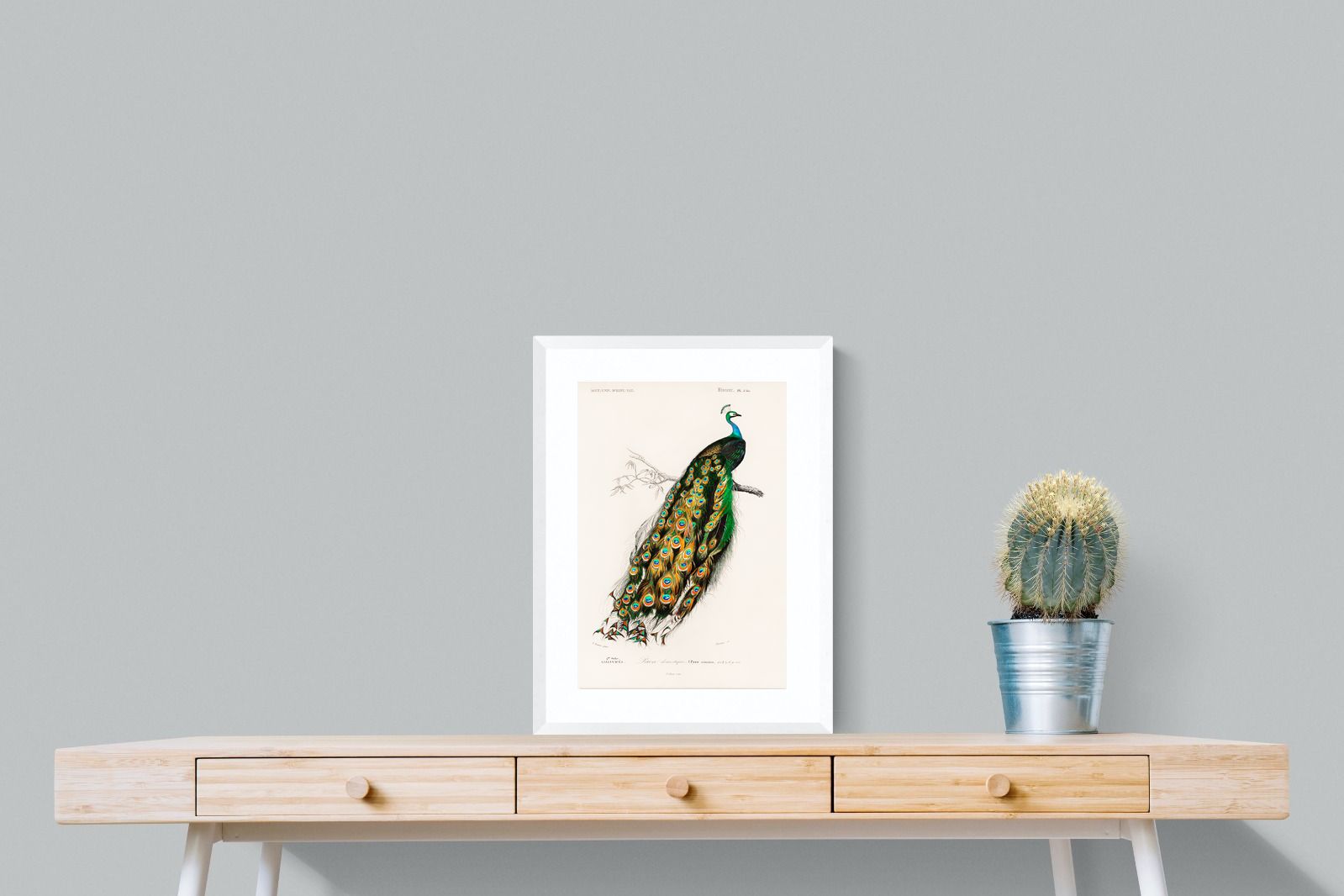 Pixalot Peafowl