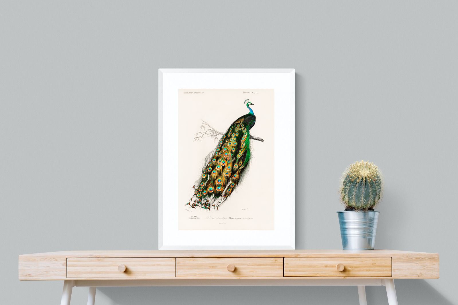 Pixalot Peafowl