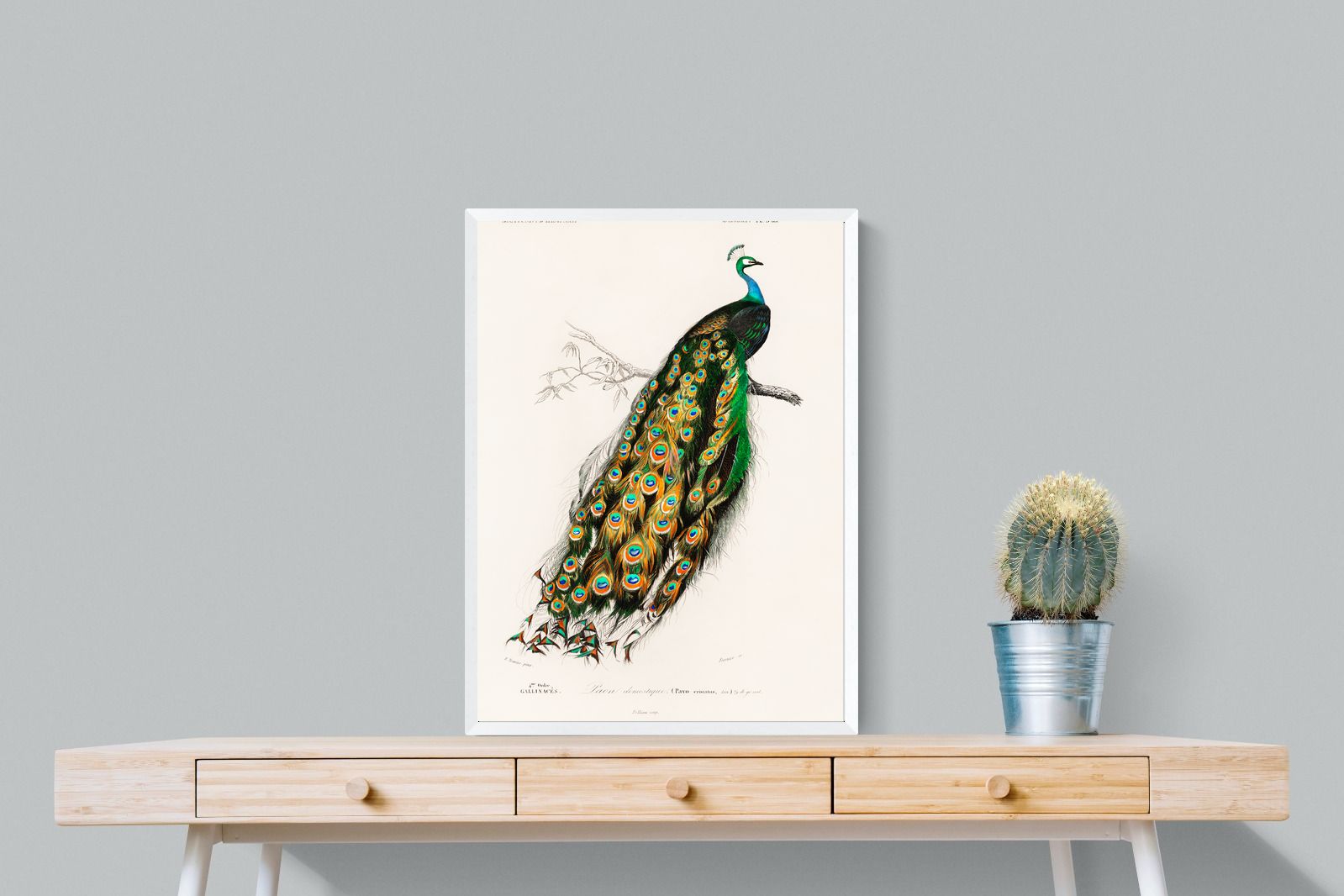 Pixalot Peafowl