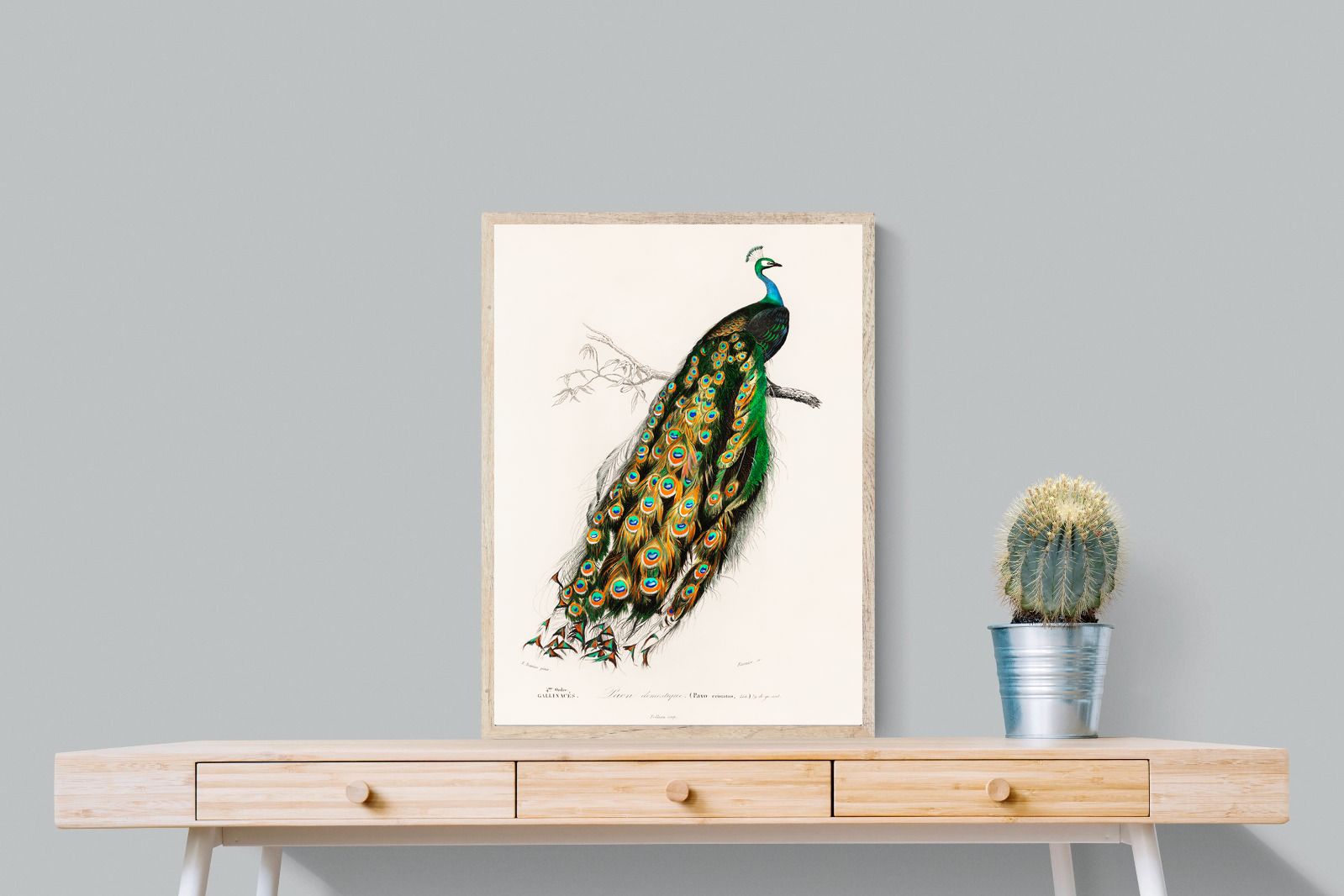 Pixalot Peafowl