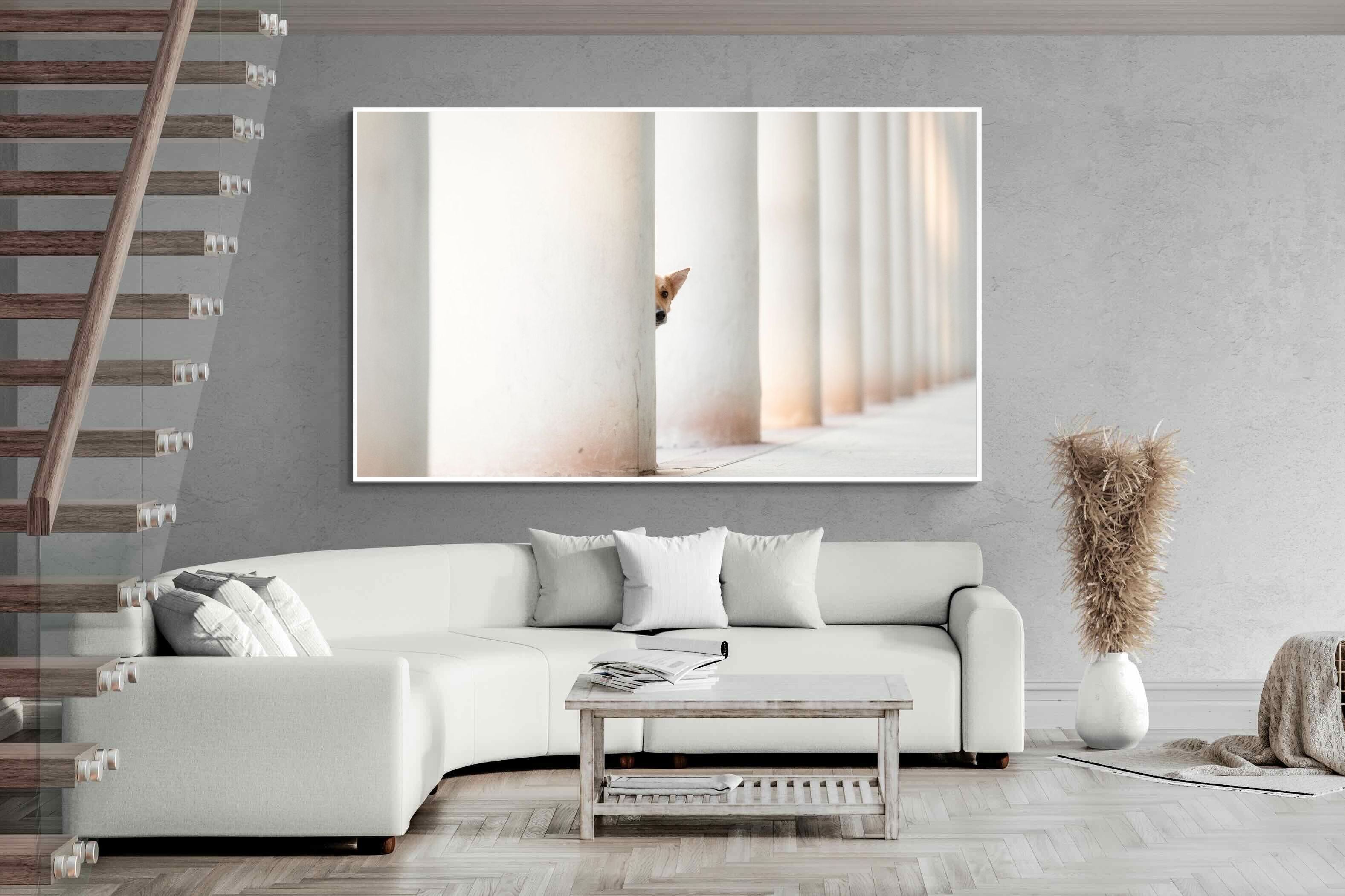 Pixalot Peekaboo Pup