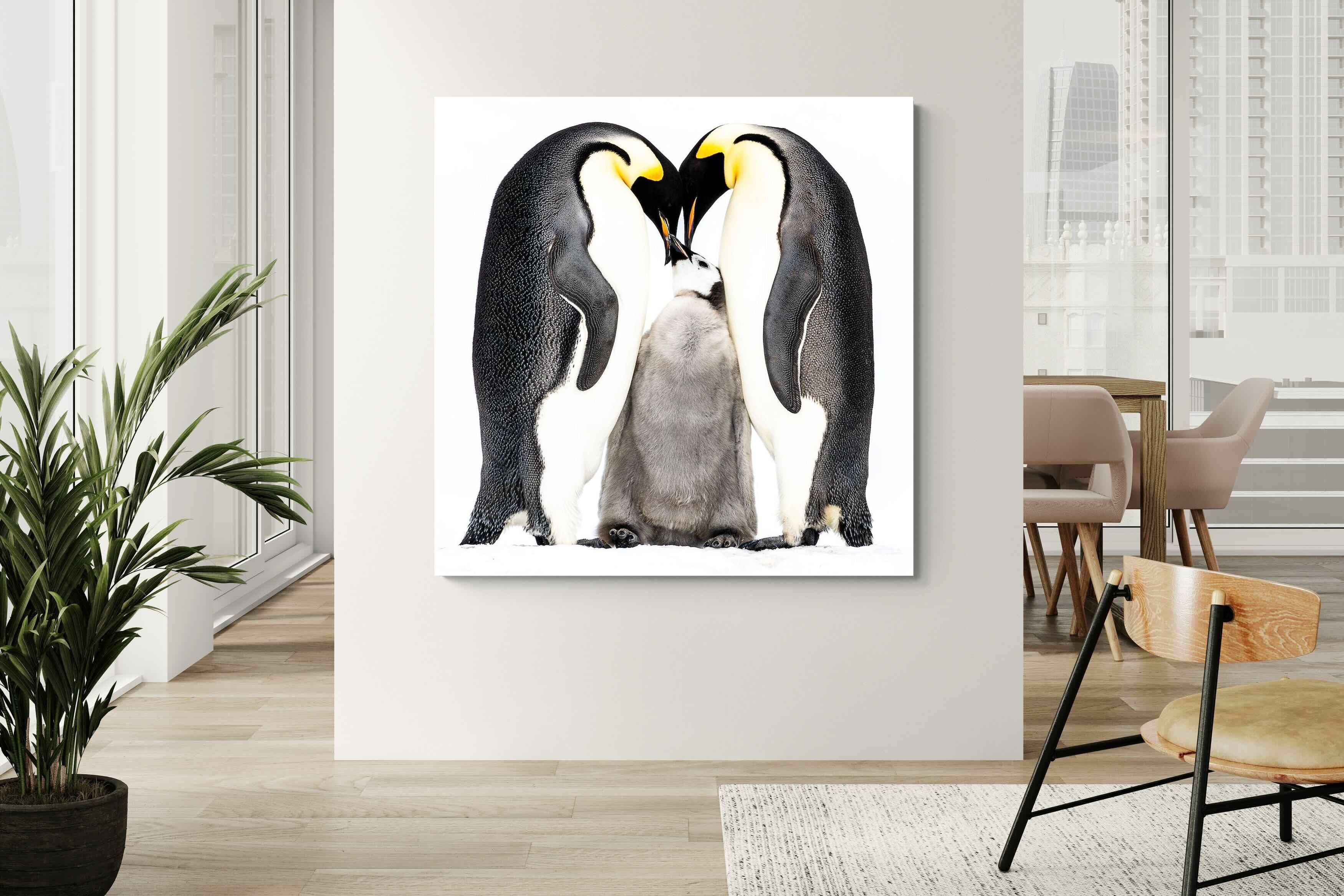 Pixalot Penguin Family