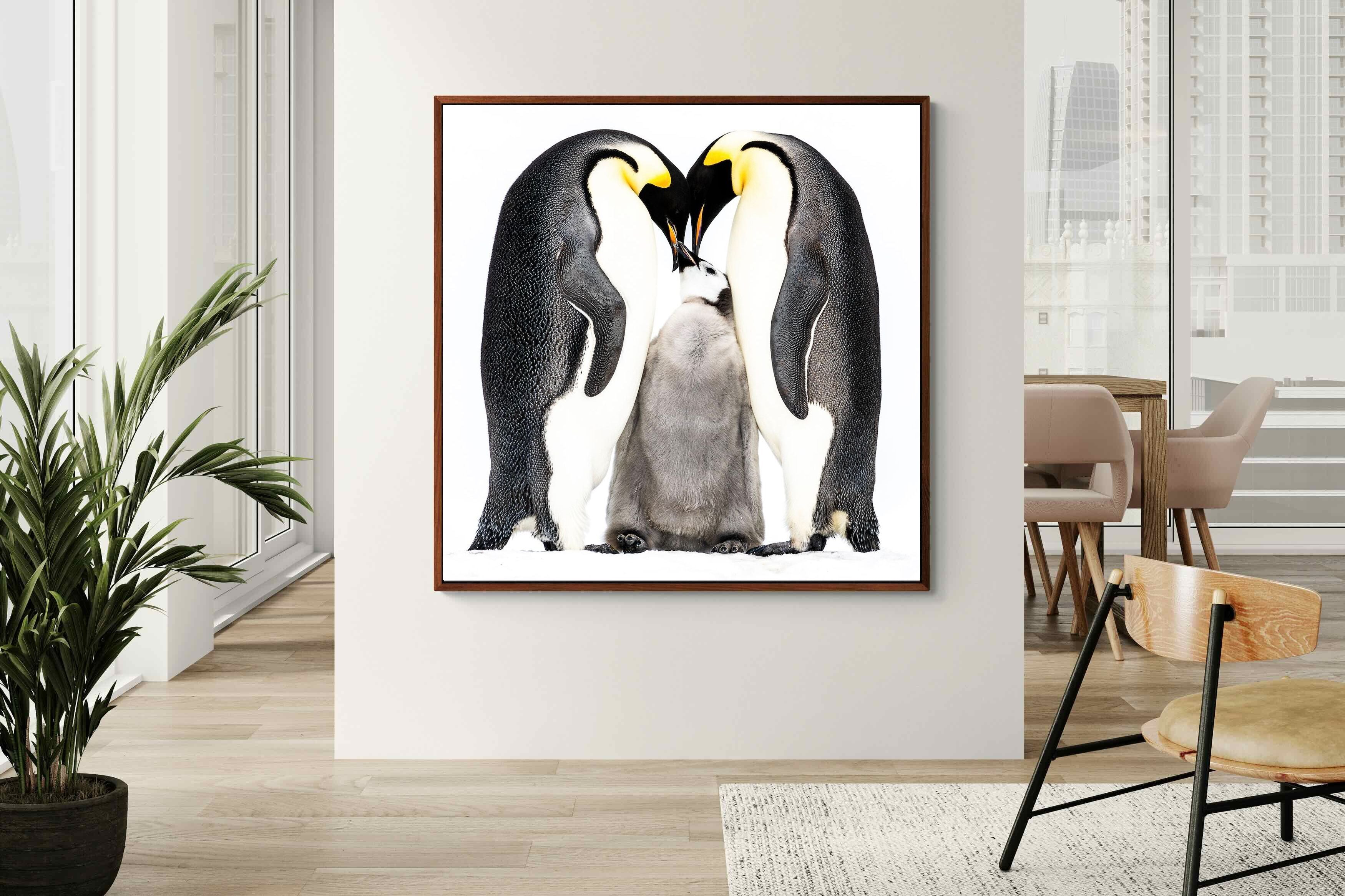 Pixalot Penguin Family