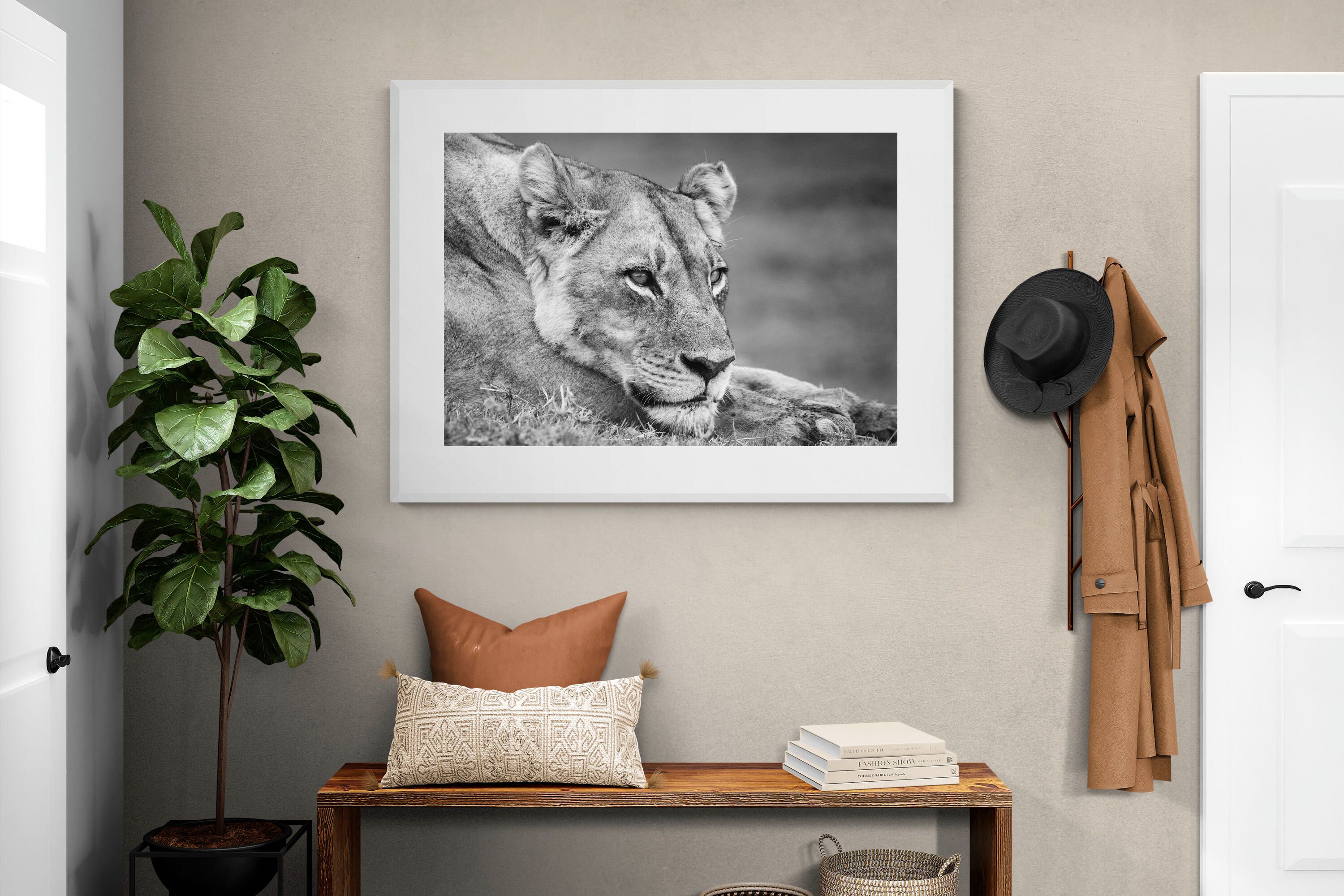 Pixalot Pensive Lioness