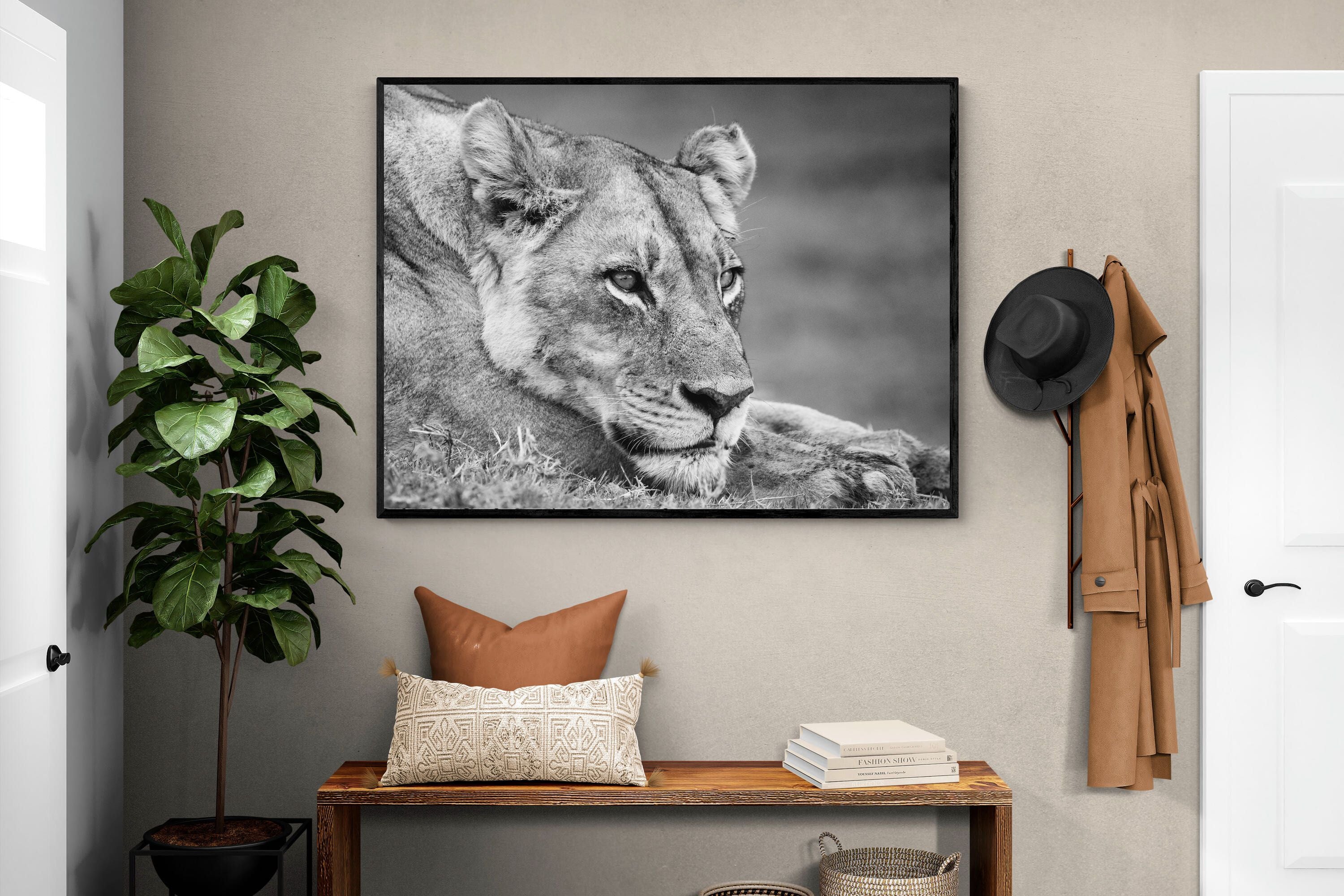 Pixalot Pensive Lioness