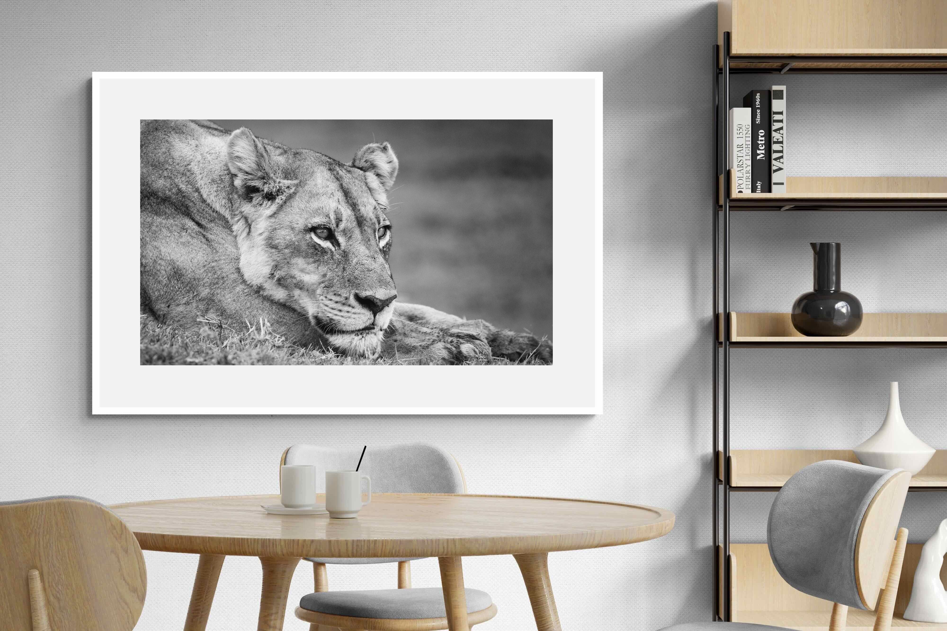 Pixalot Pensive Lioness