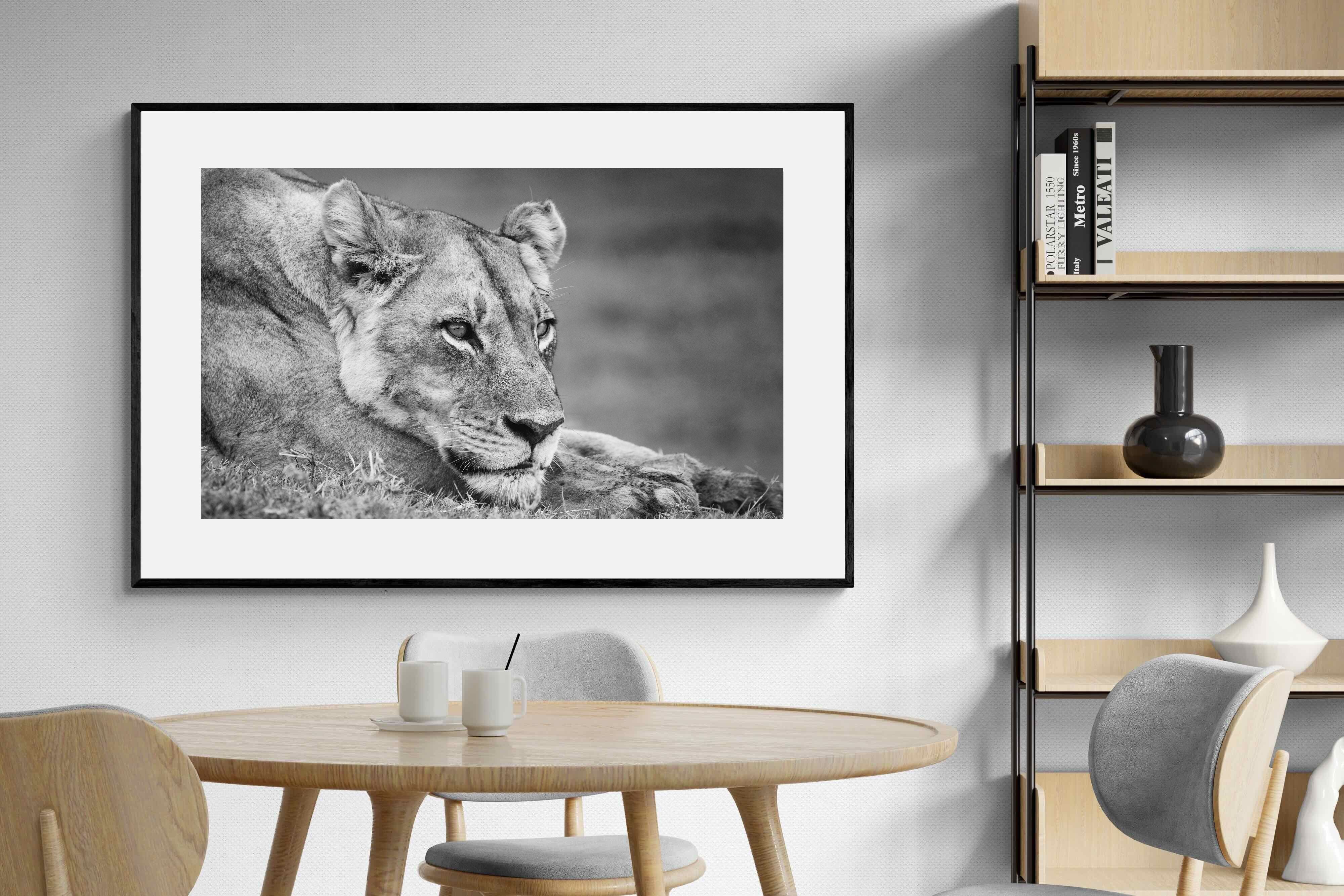 Pixalot Pensive Lioness