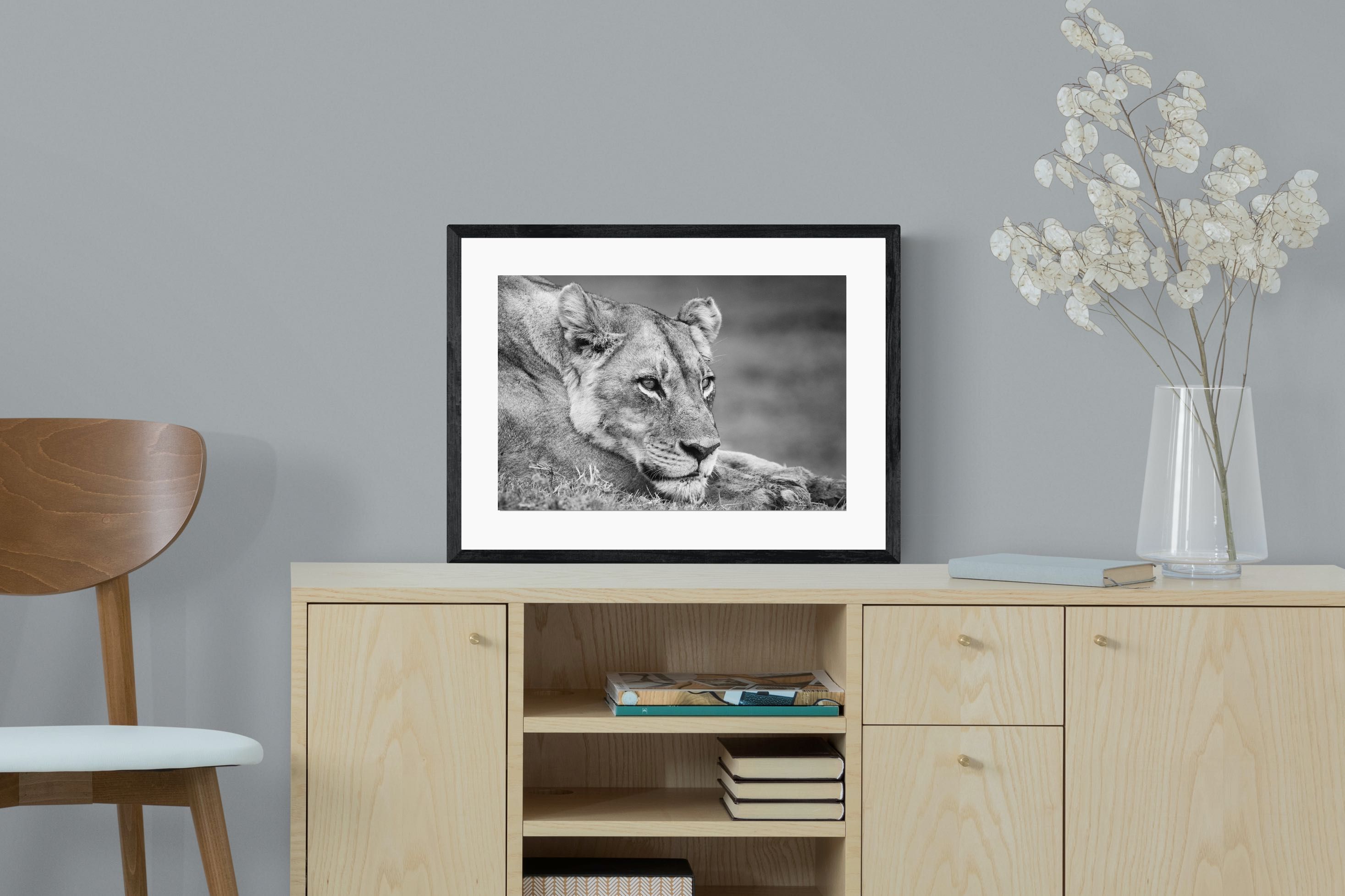 Pixalot Pensive Lioness