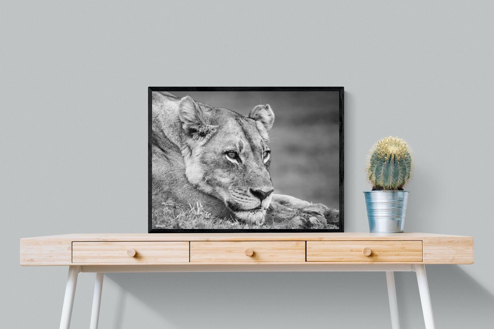 Pixalot Pensive Lioness