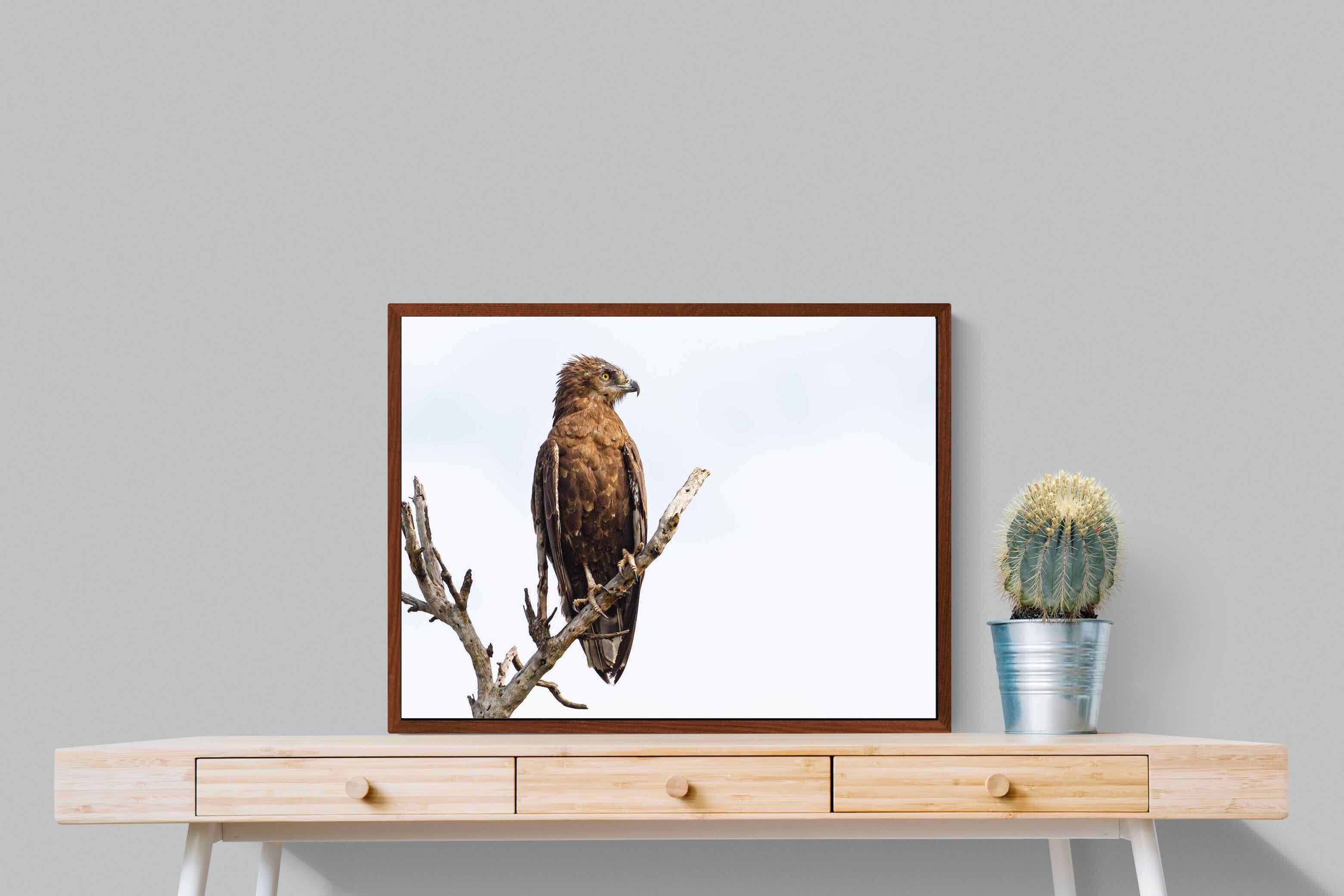 Pixalot ® Perched
