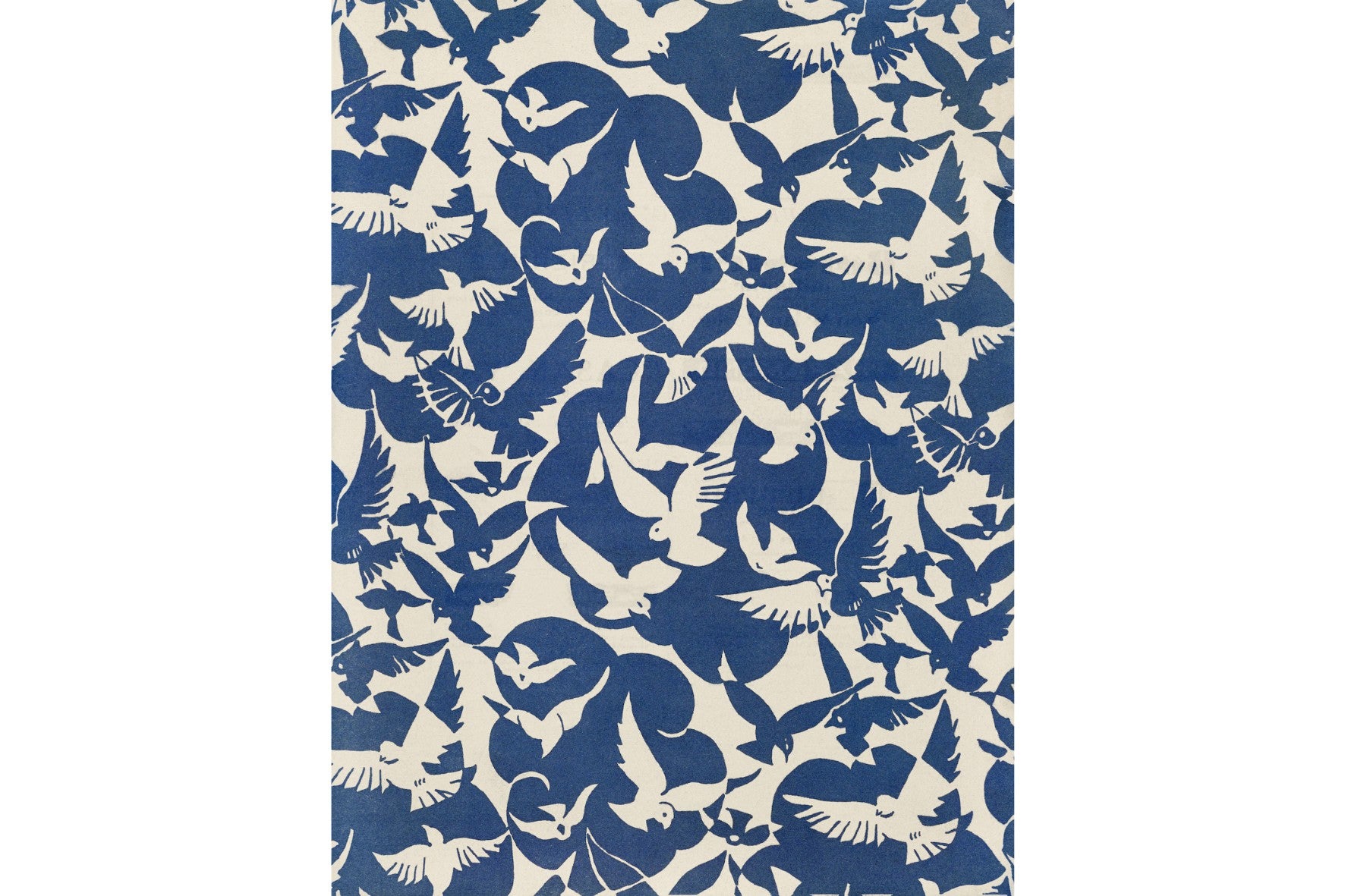 Pigeons in White & Blue