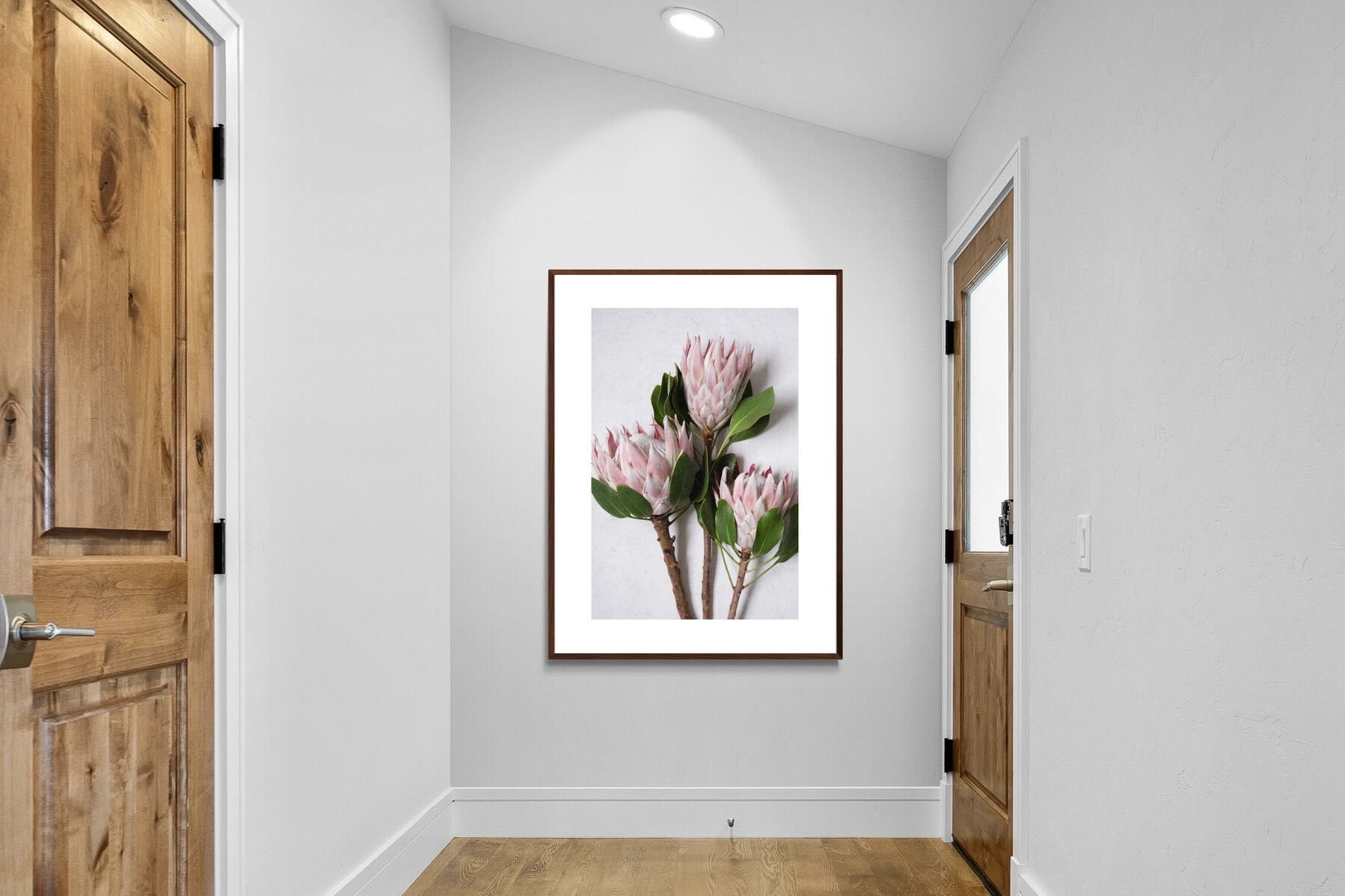 Pixalot Pink King Protea Trio