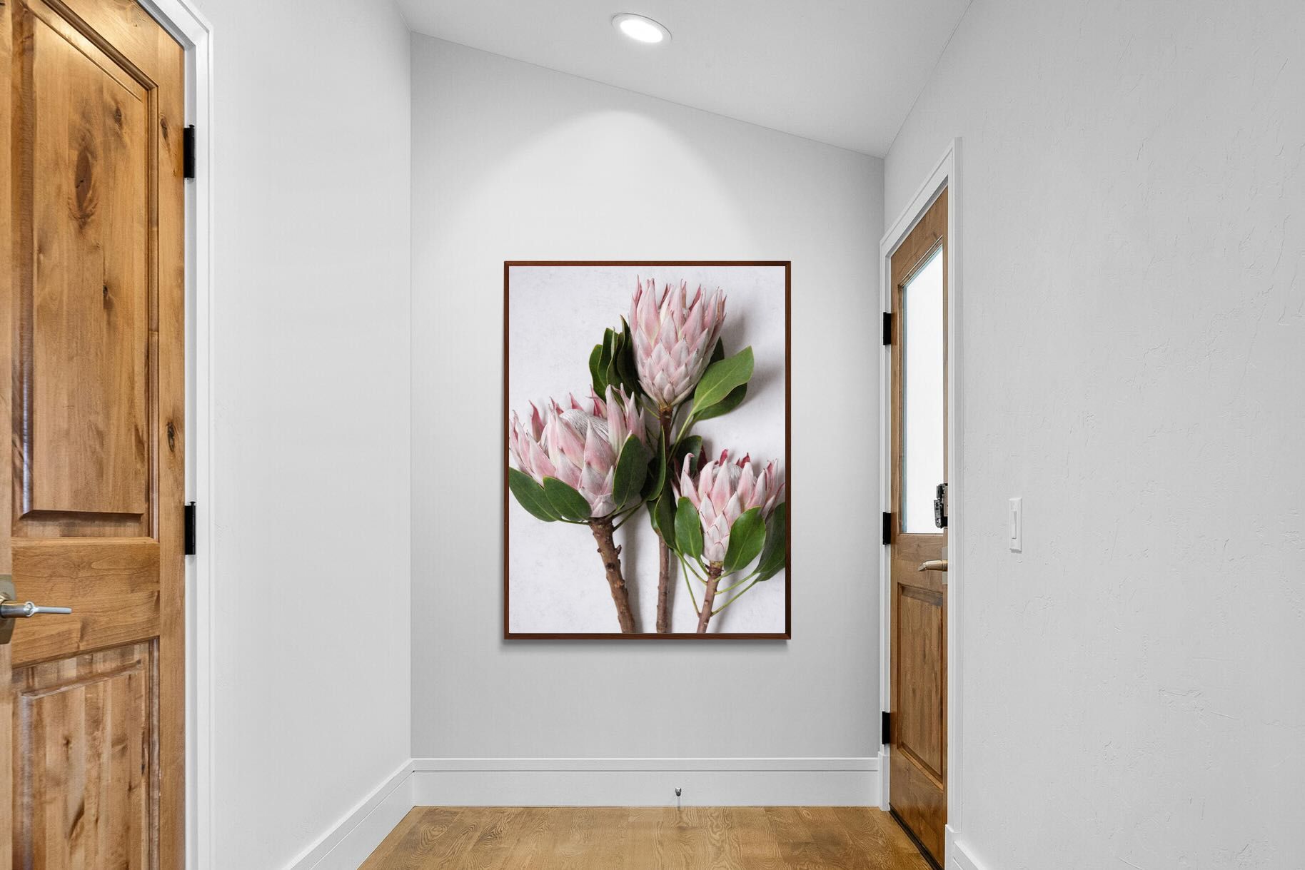Pixalot Pink King Protea Trio