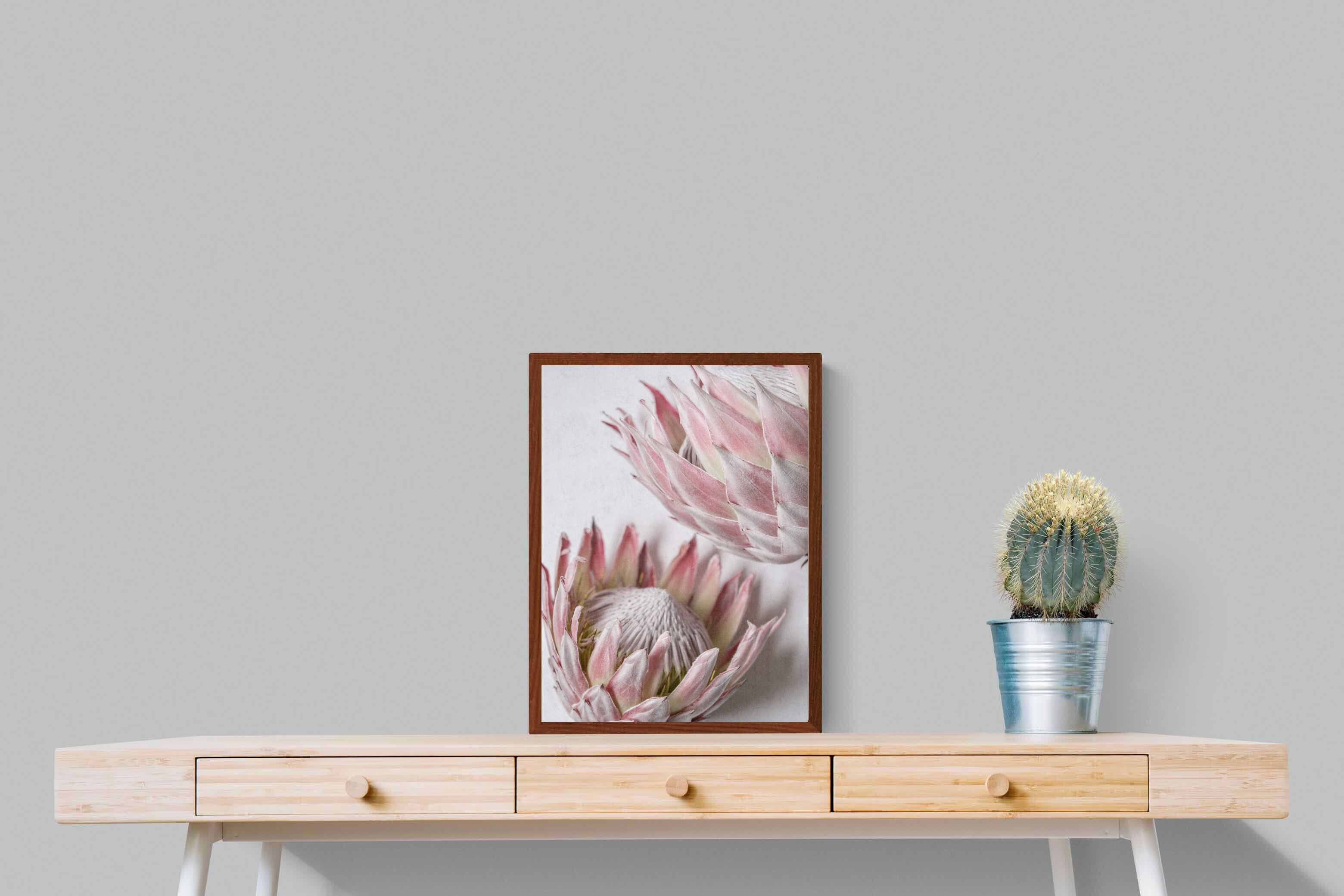 Pixalot Pink Protea Pair