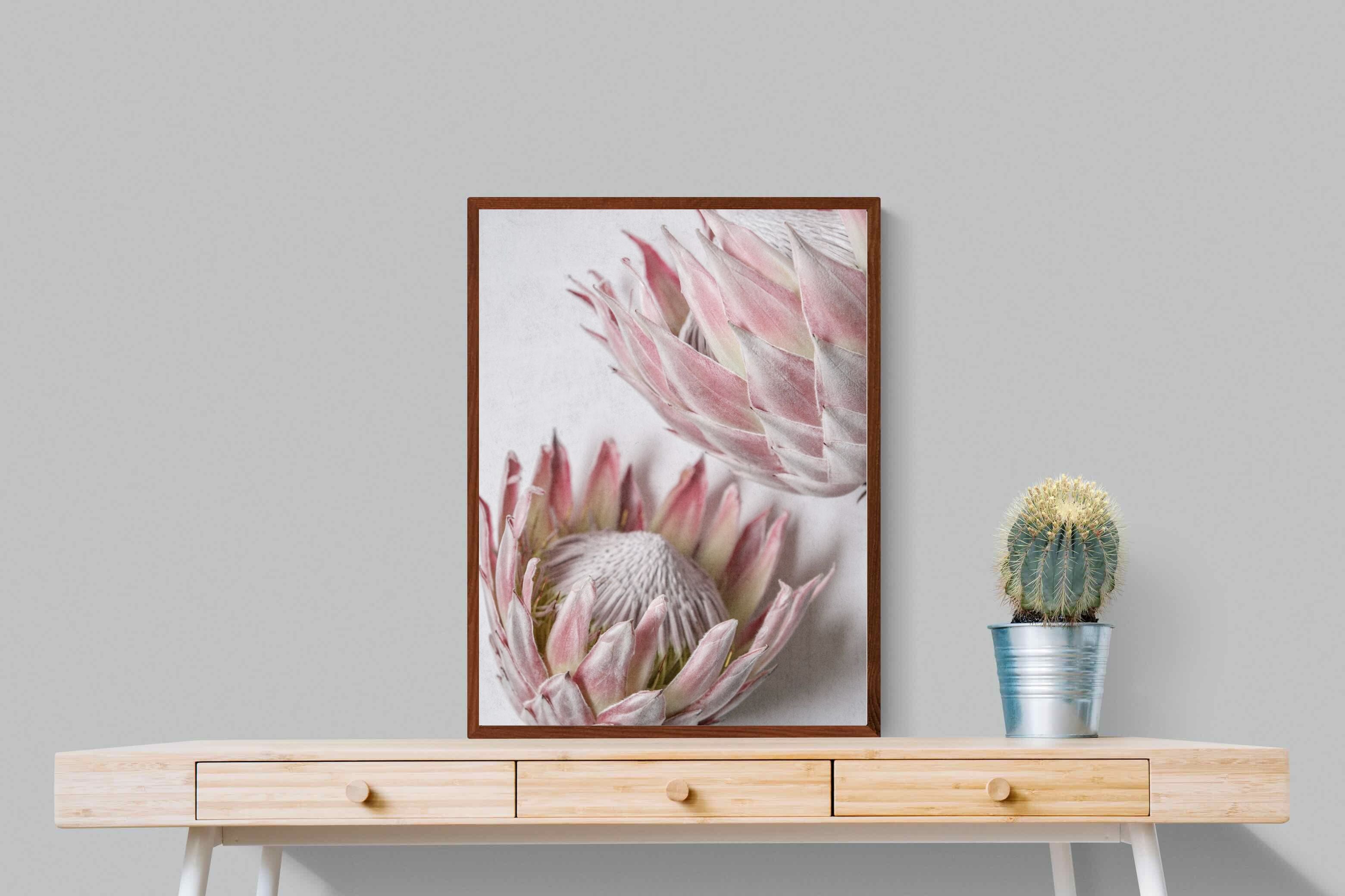 Pixalot Pink Protea Pair