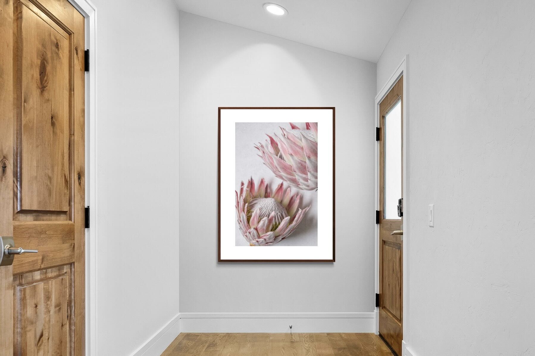 Pixalot Pink Protea Pair