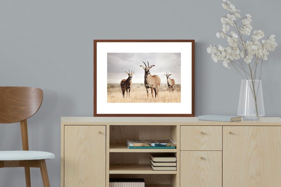 Pixalot ® Antelope Trio