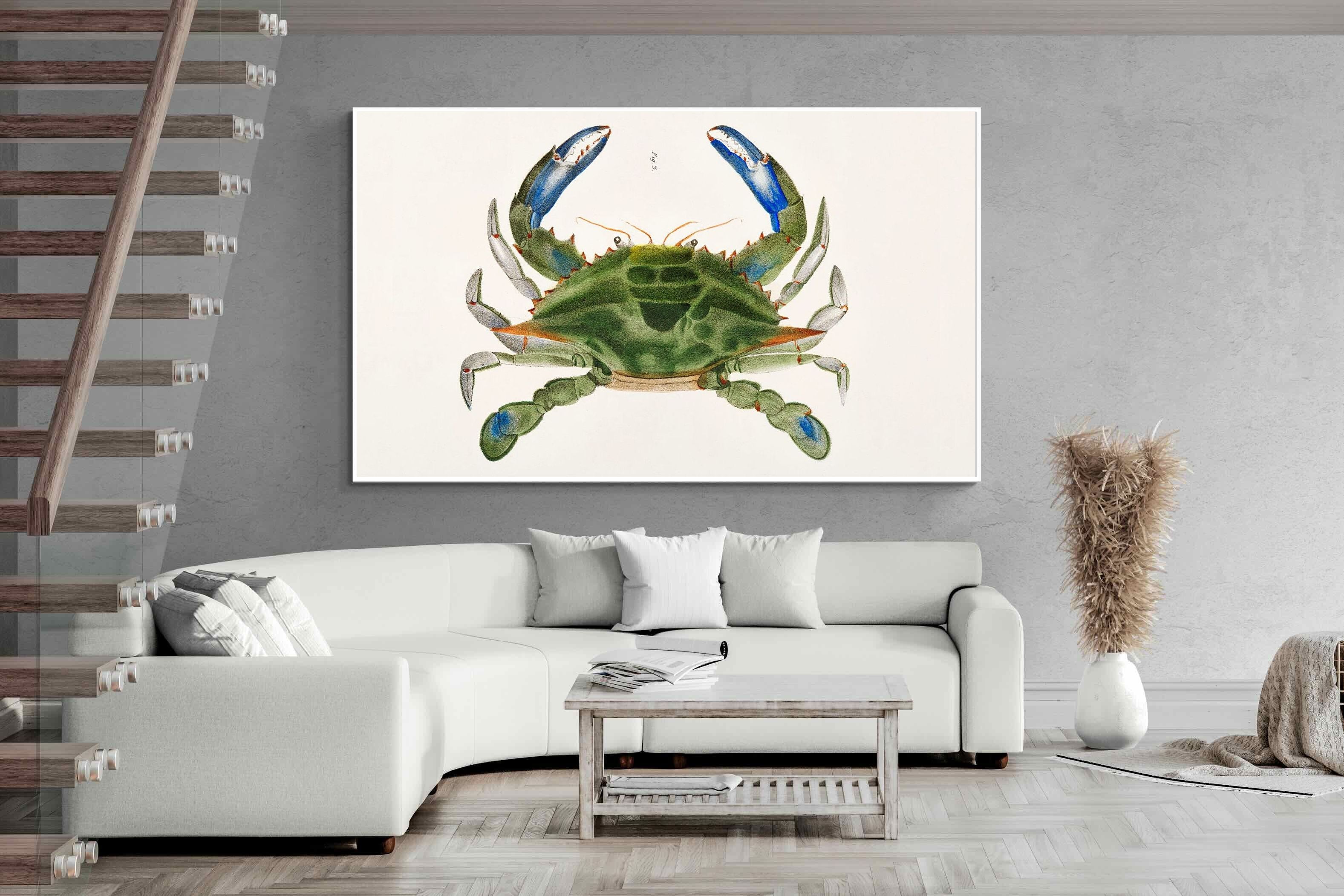 Pixalot ® Blue Crab Illustration