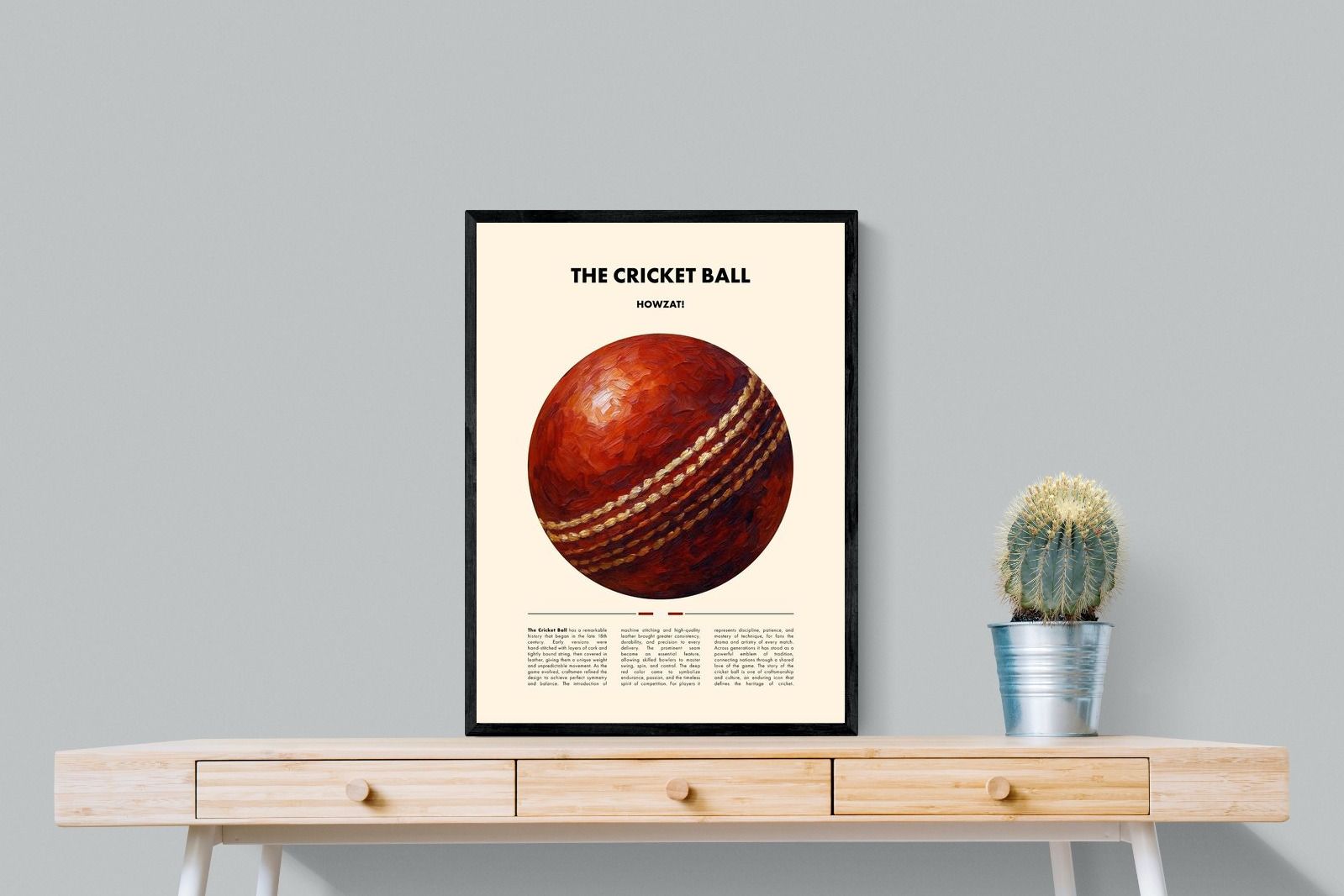 Pixalot ® Cricket Ball