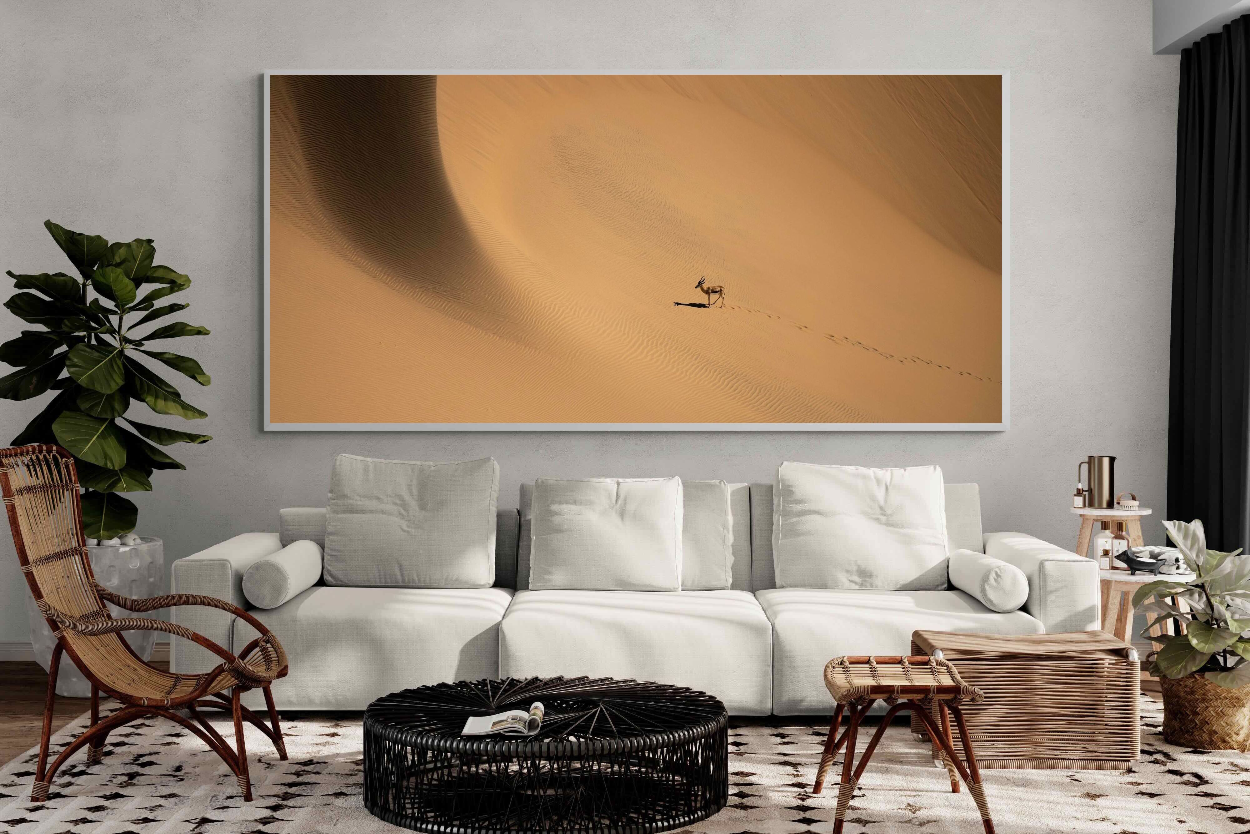 Pixalot ® Desert Trail