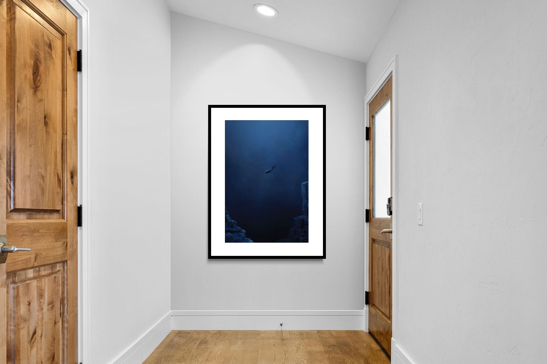 Pixalot ® Diver