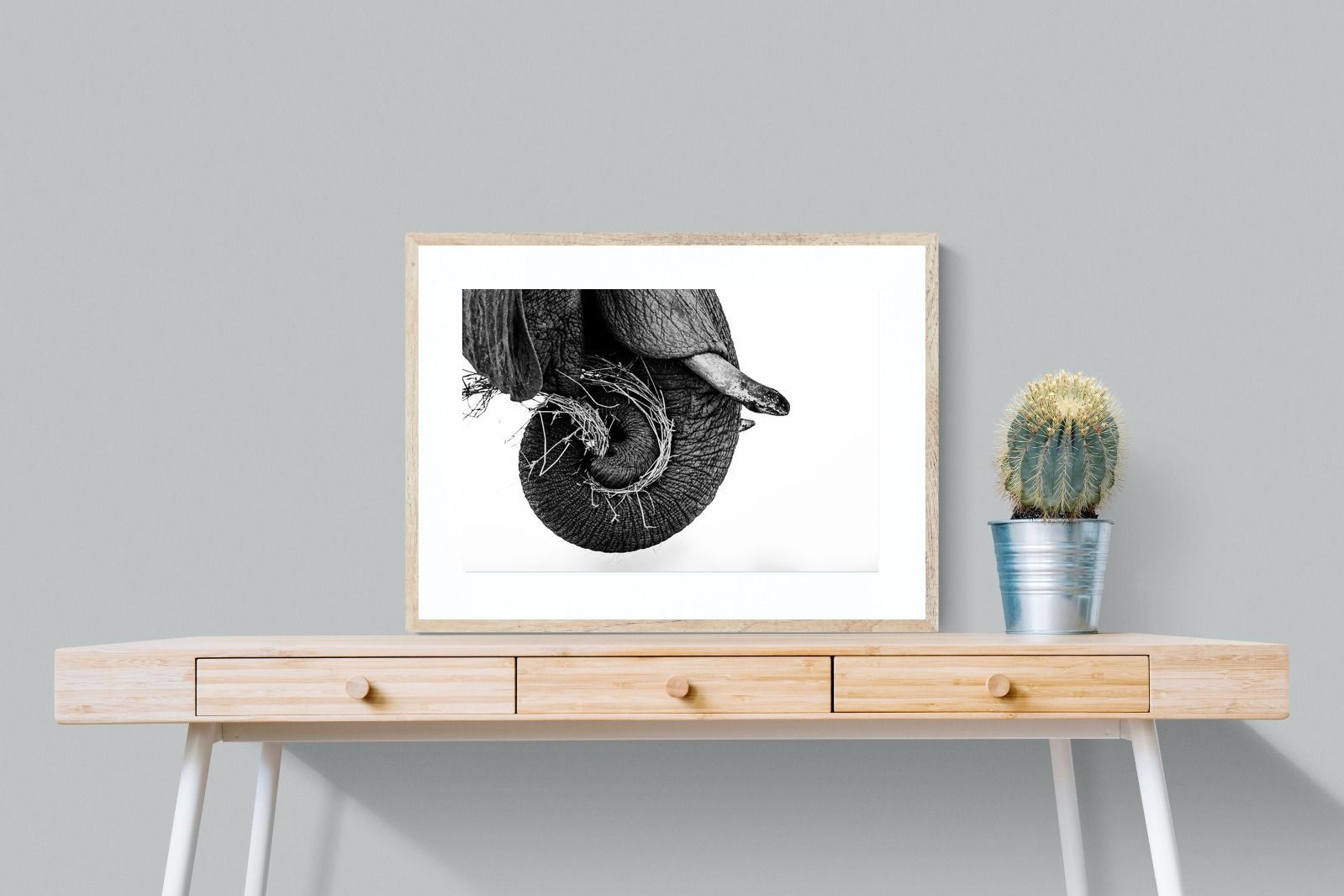 Pixalot ® Elephant Coil