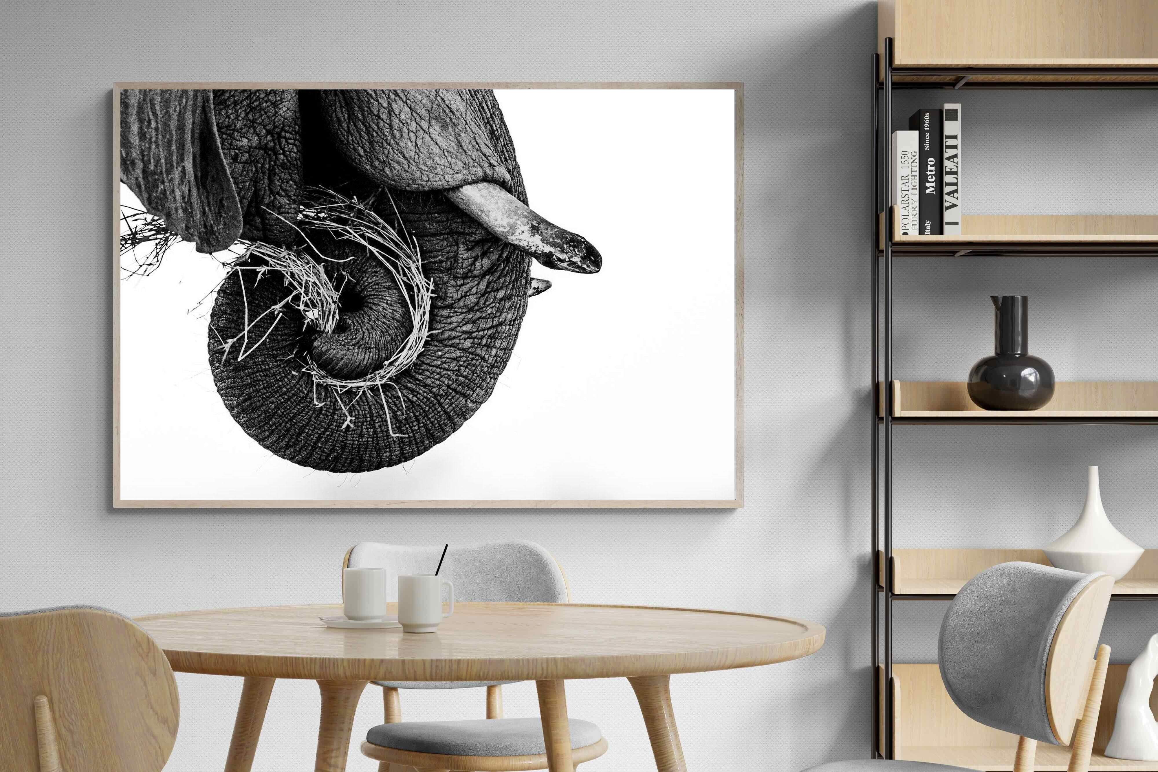 Pixalot ® Elephant Coil