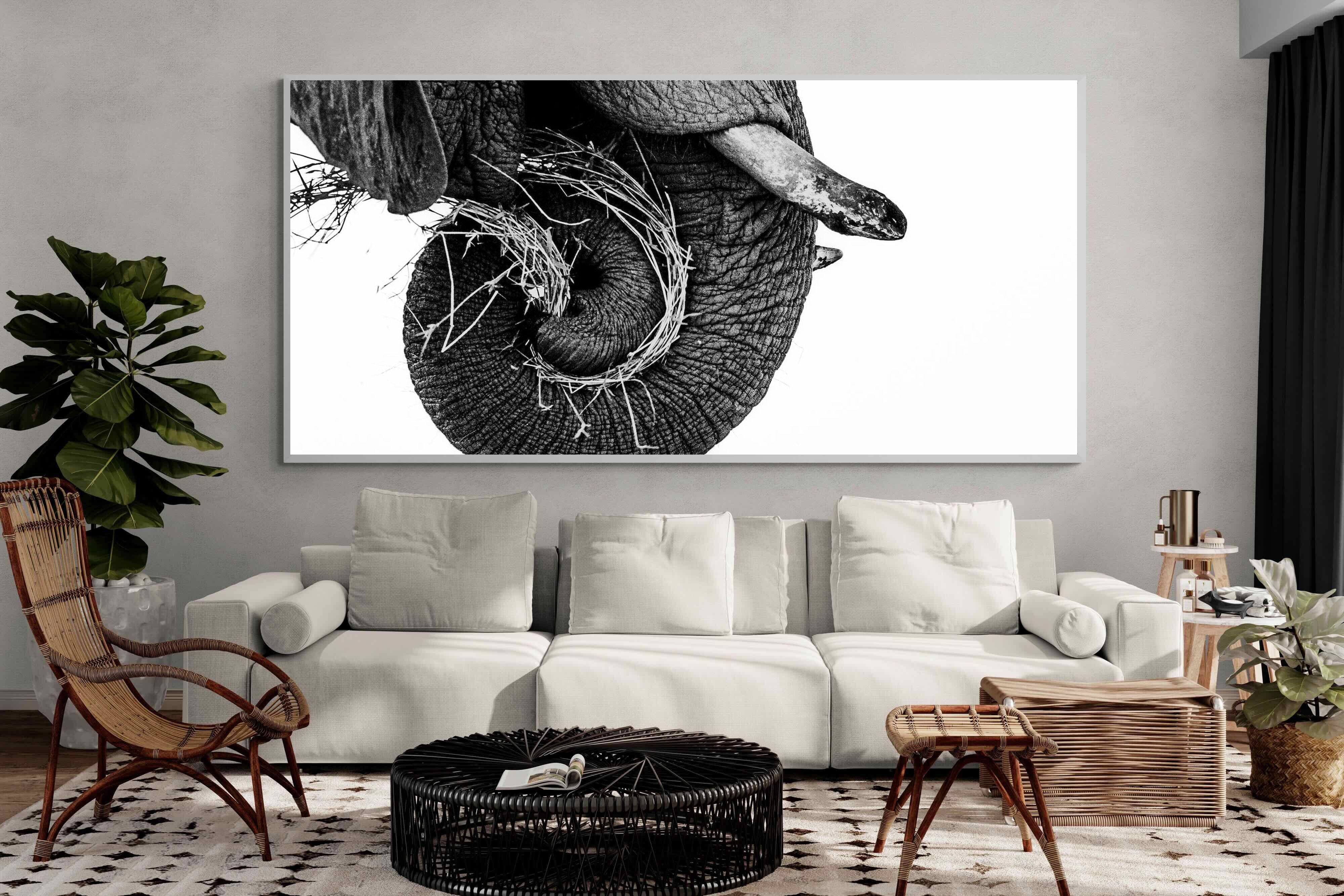 Pixalot ® Elephant Coil