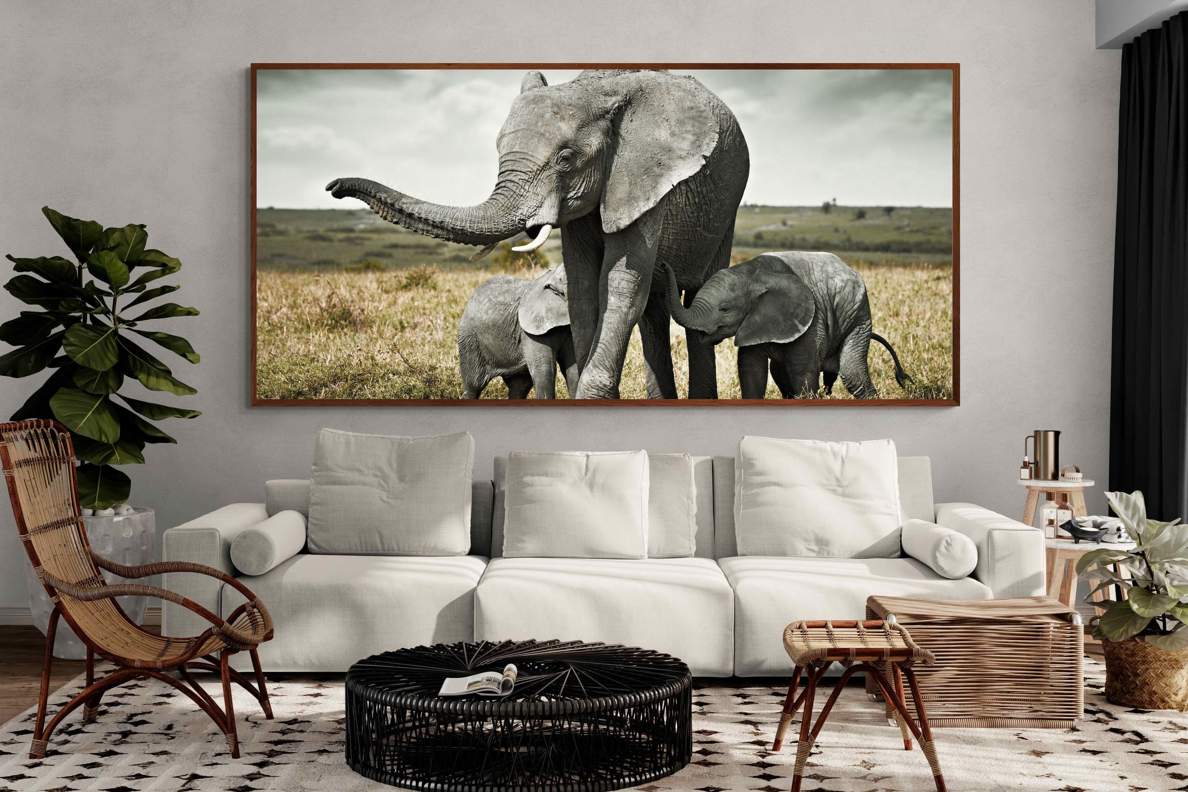 Pixalot ® Elephant Family Union