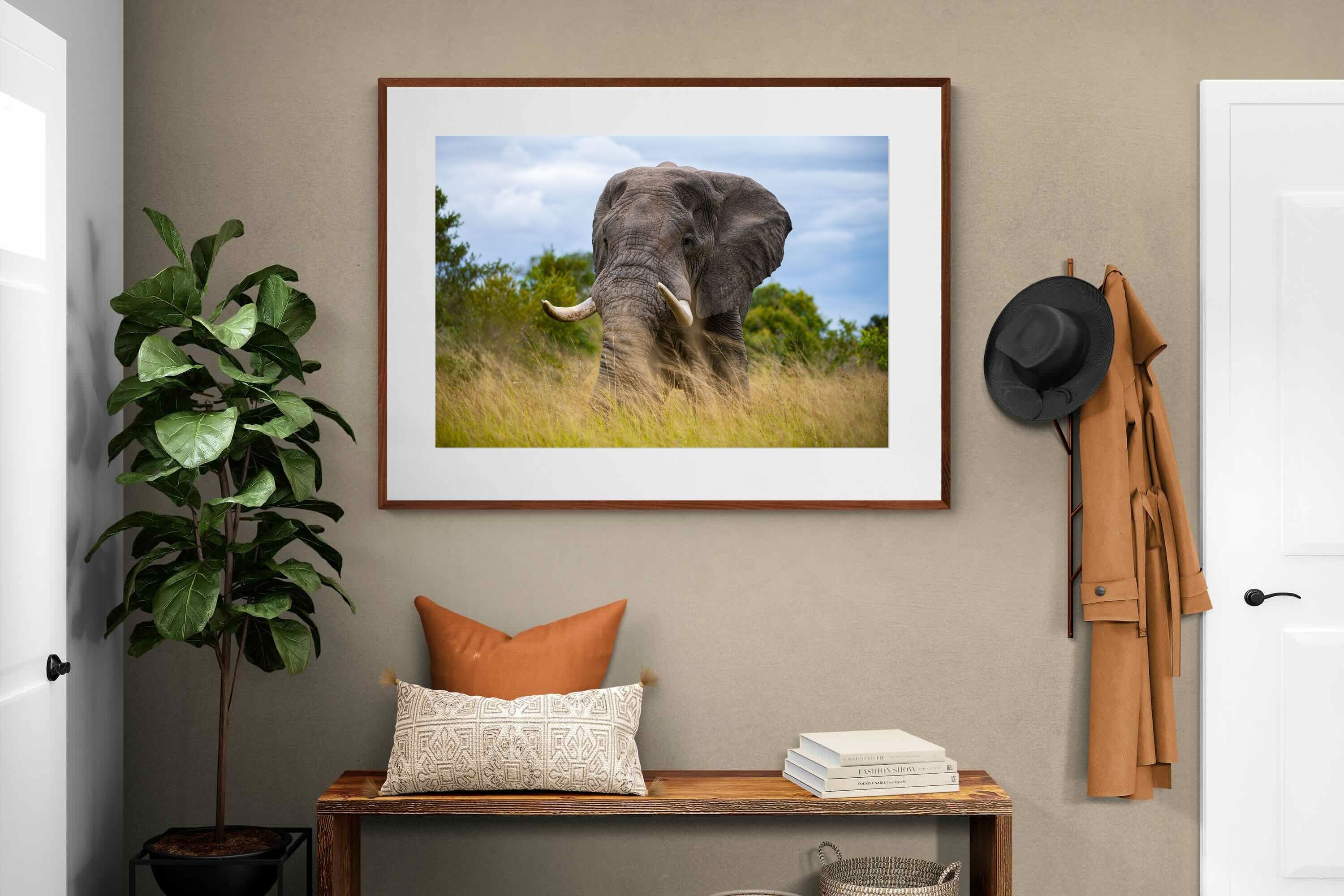 Pixalot ® Emerge