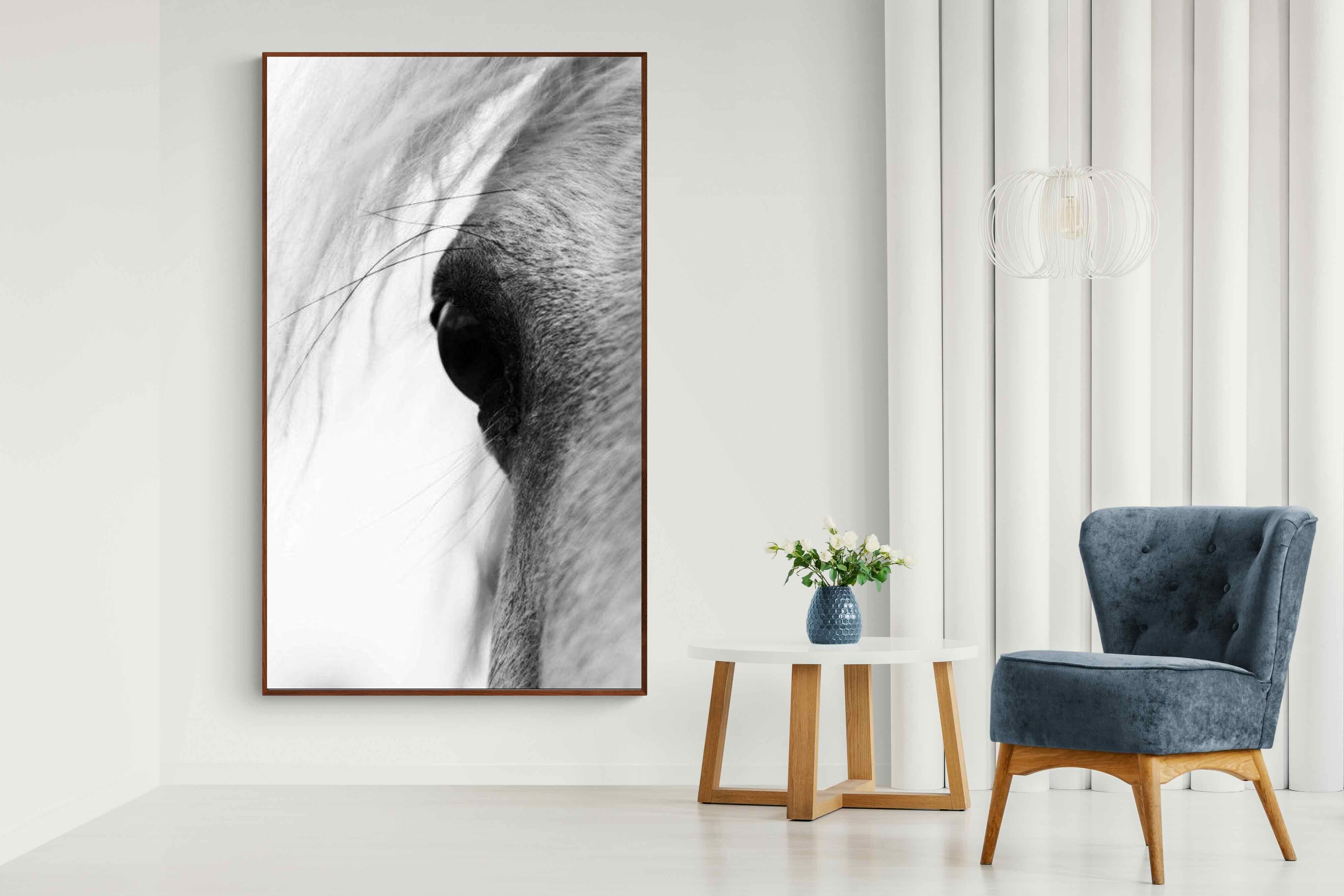 Pixalot ® Eye of the Horse