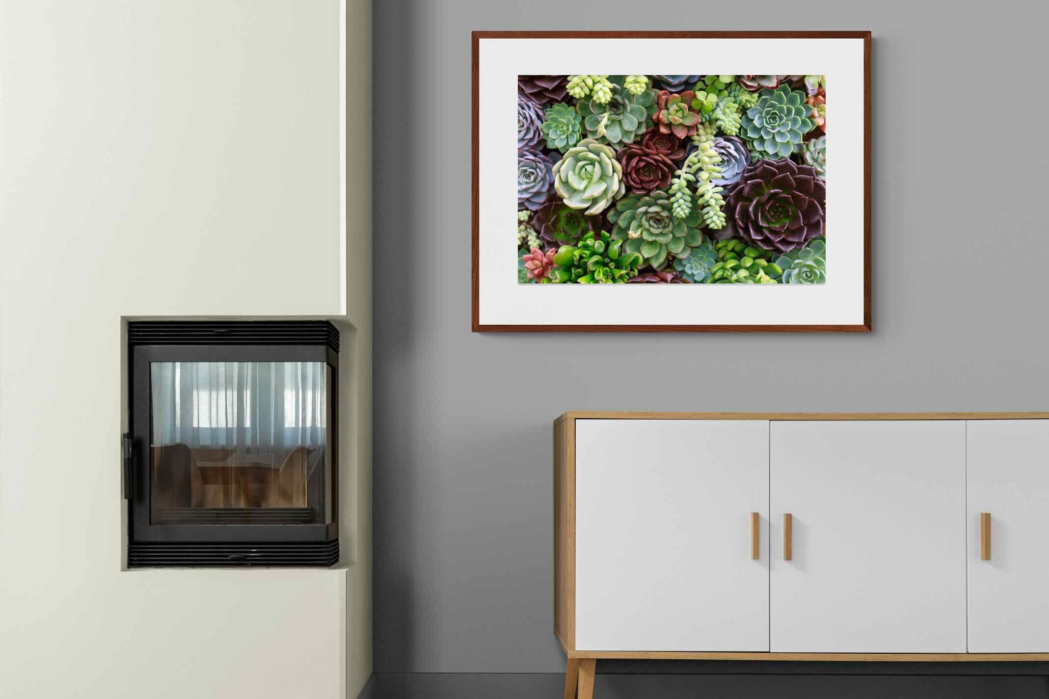 Pixalot ® Foliage