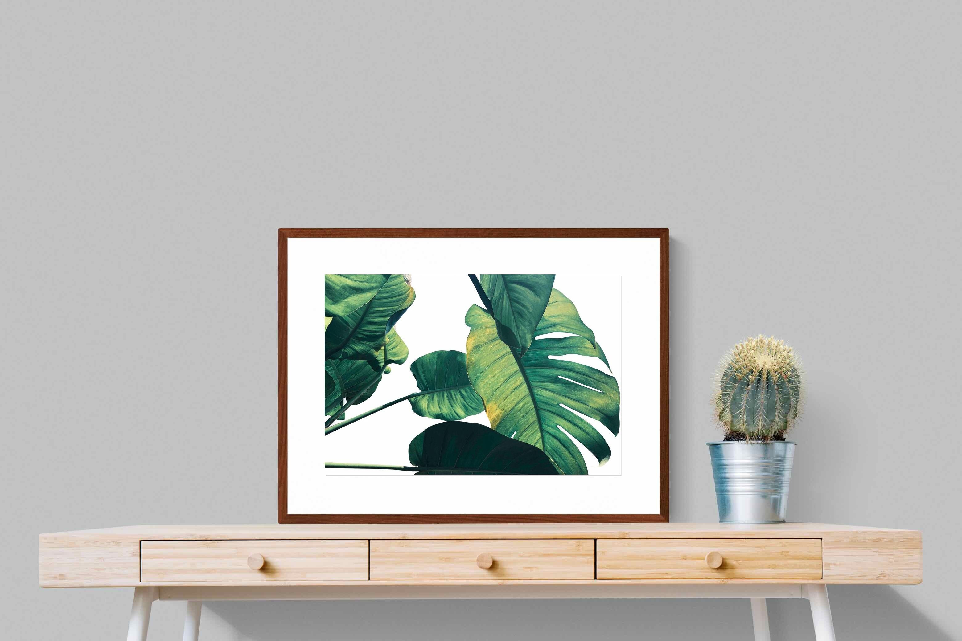 Pixalot ® Frond & Light