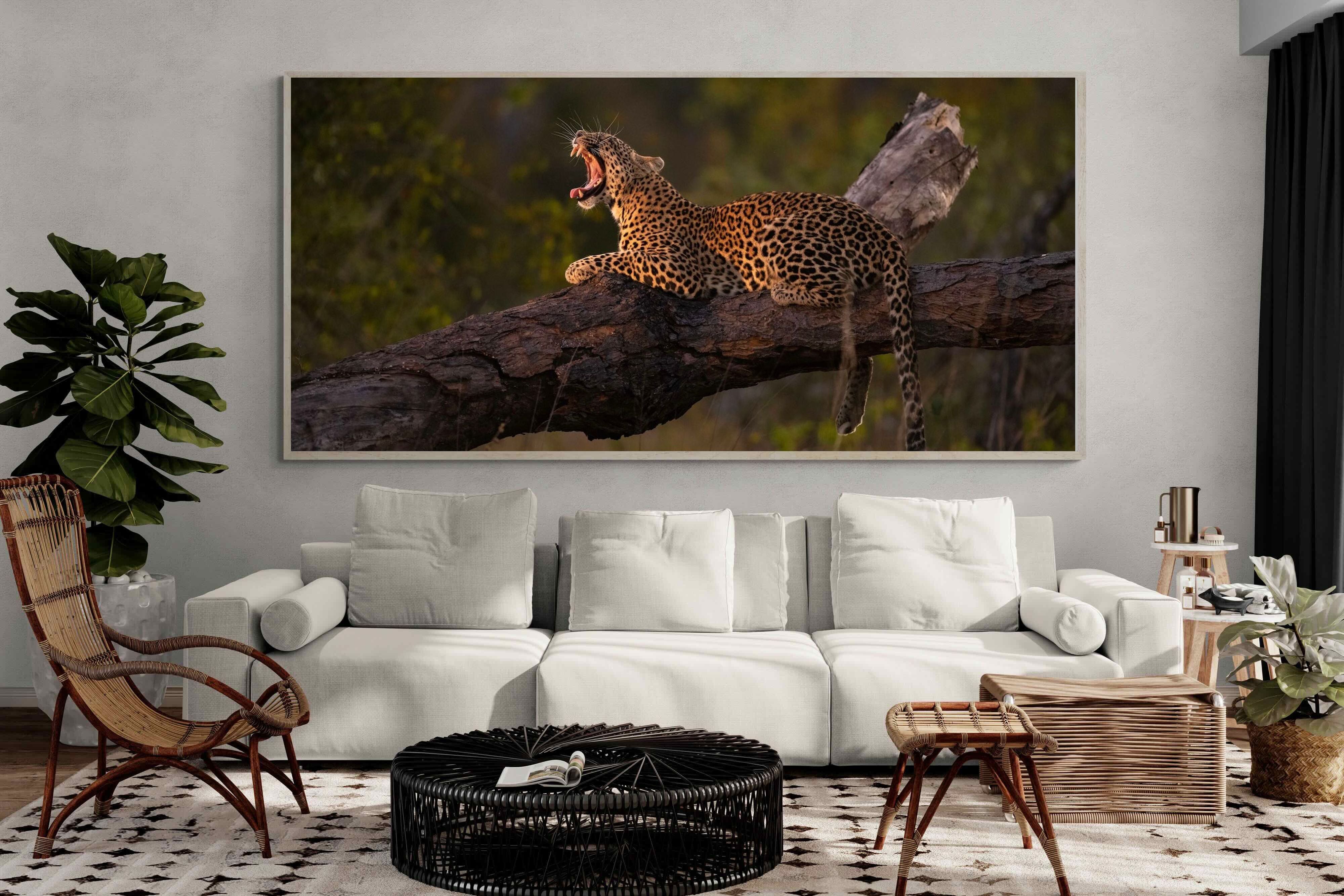 Pixalot ® Golden Yawn