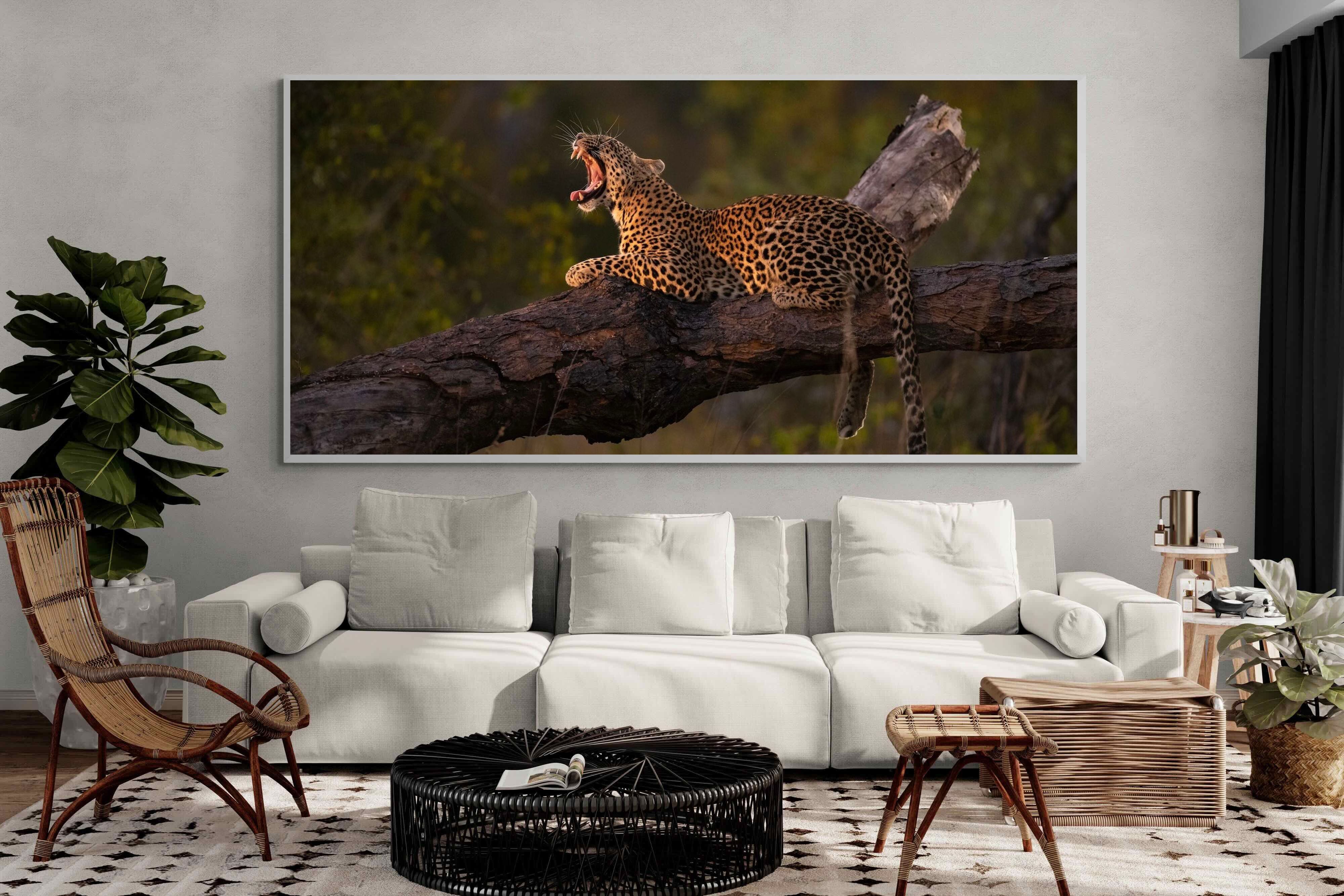 Pixalot ® Golden Yawn