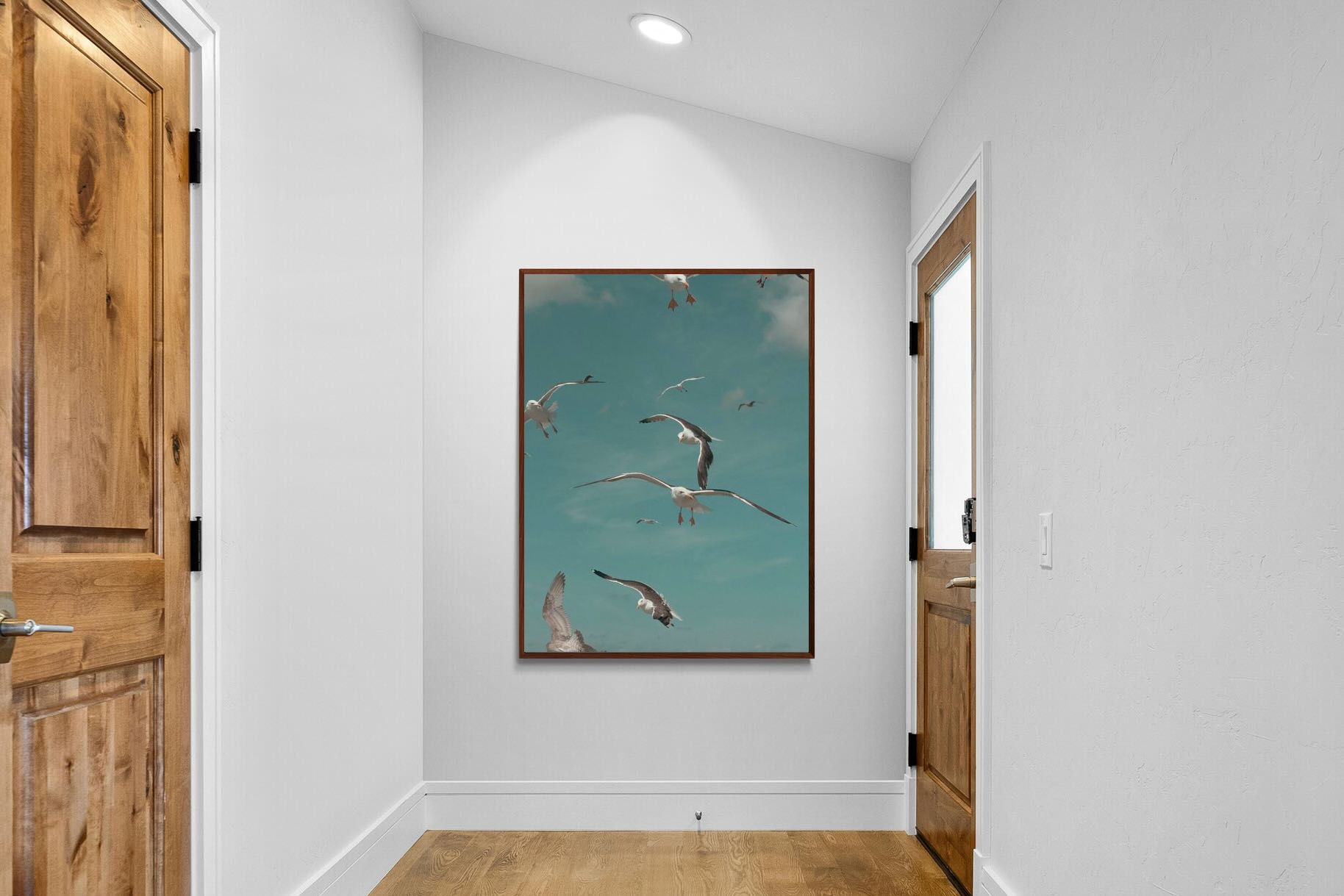 Pixalot ® Gulls in Blue