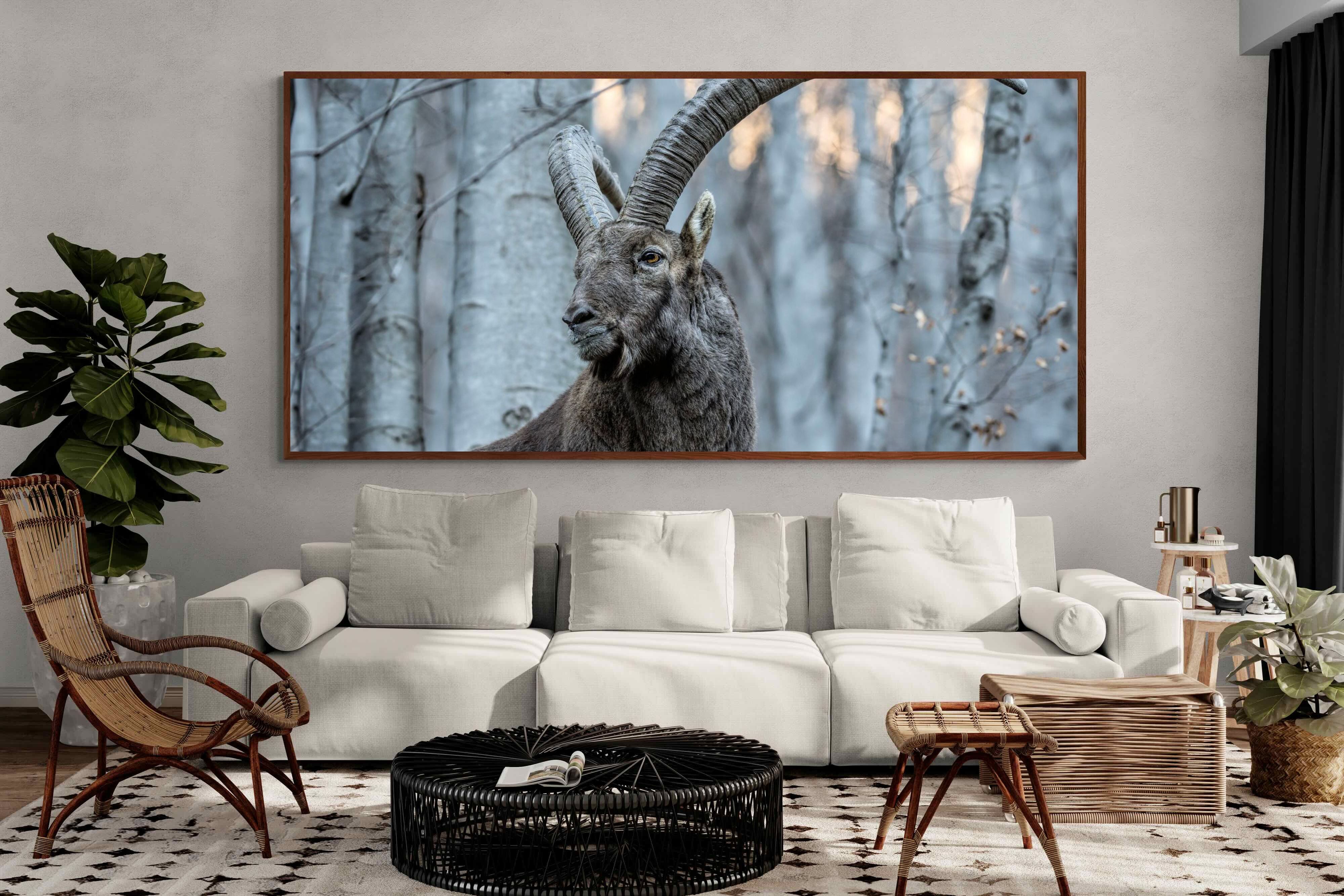 Pixalot ® Ibex