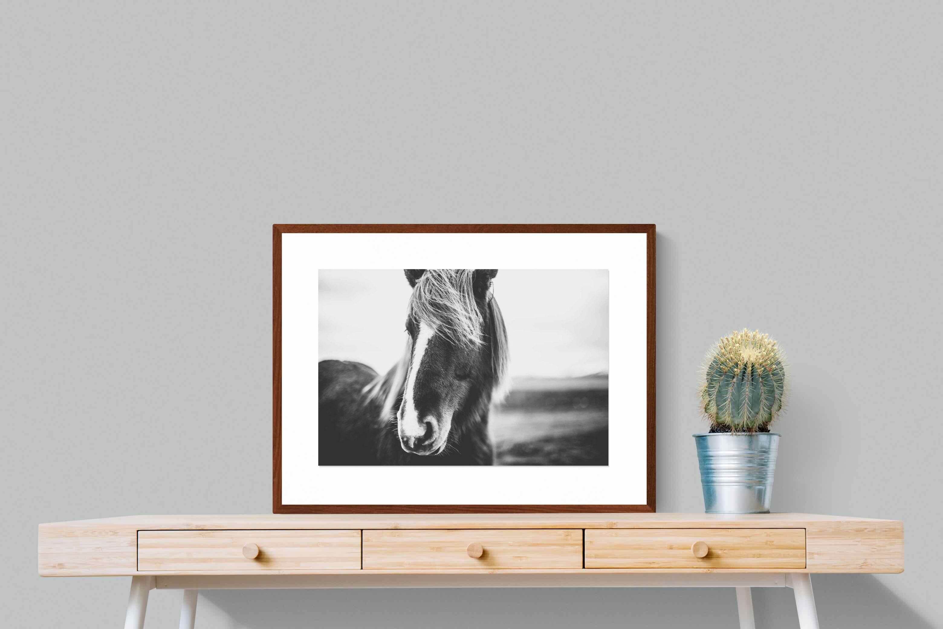 Pixalot ® Icelandic Pony