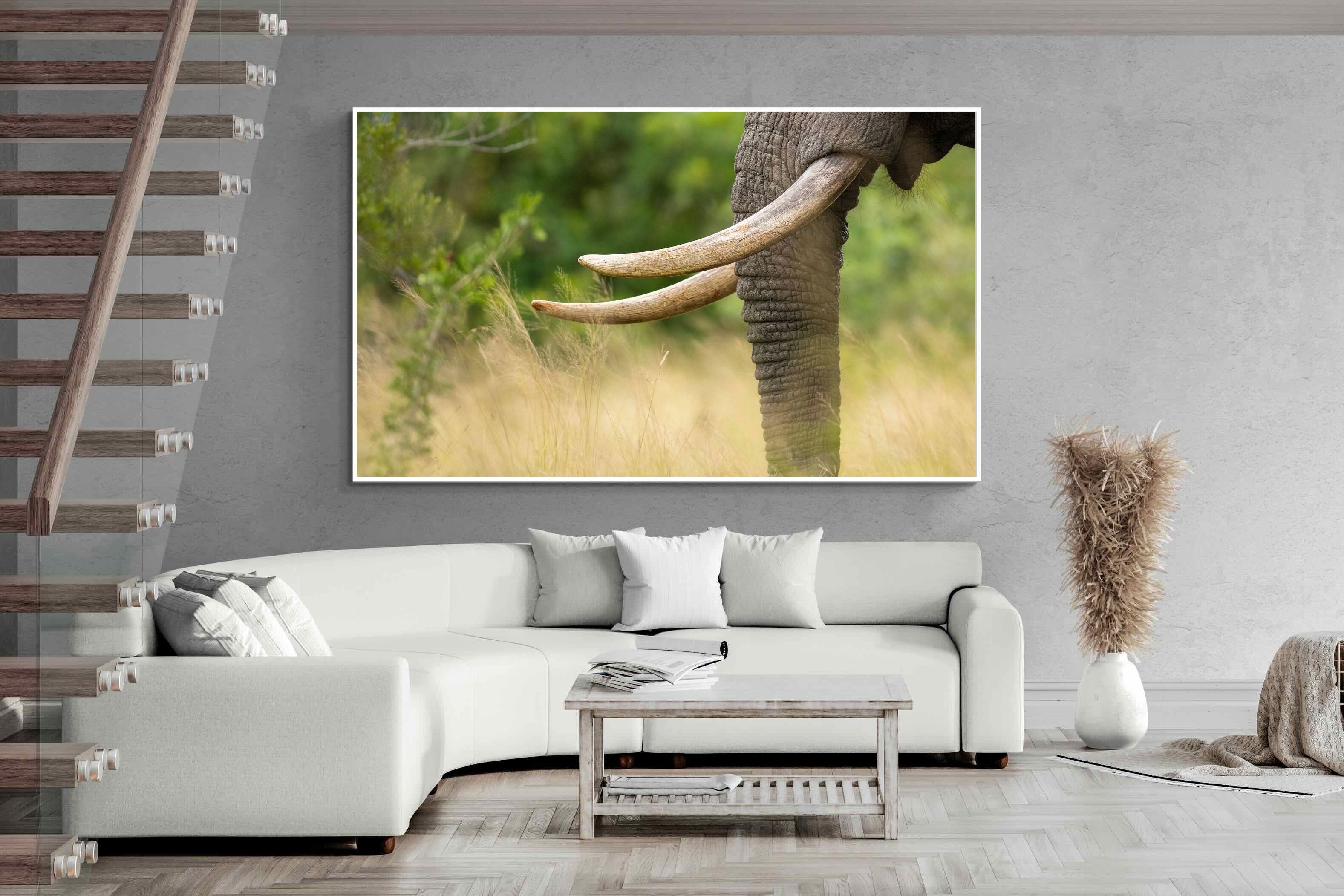 Pixalot ® Ivory Curve