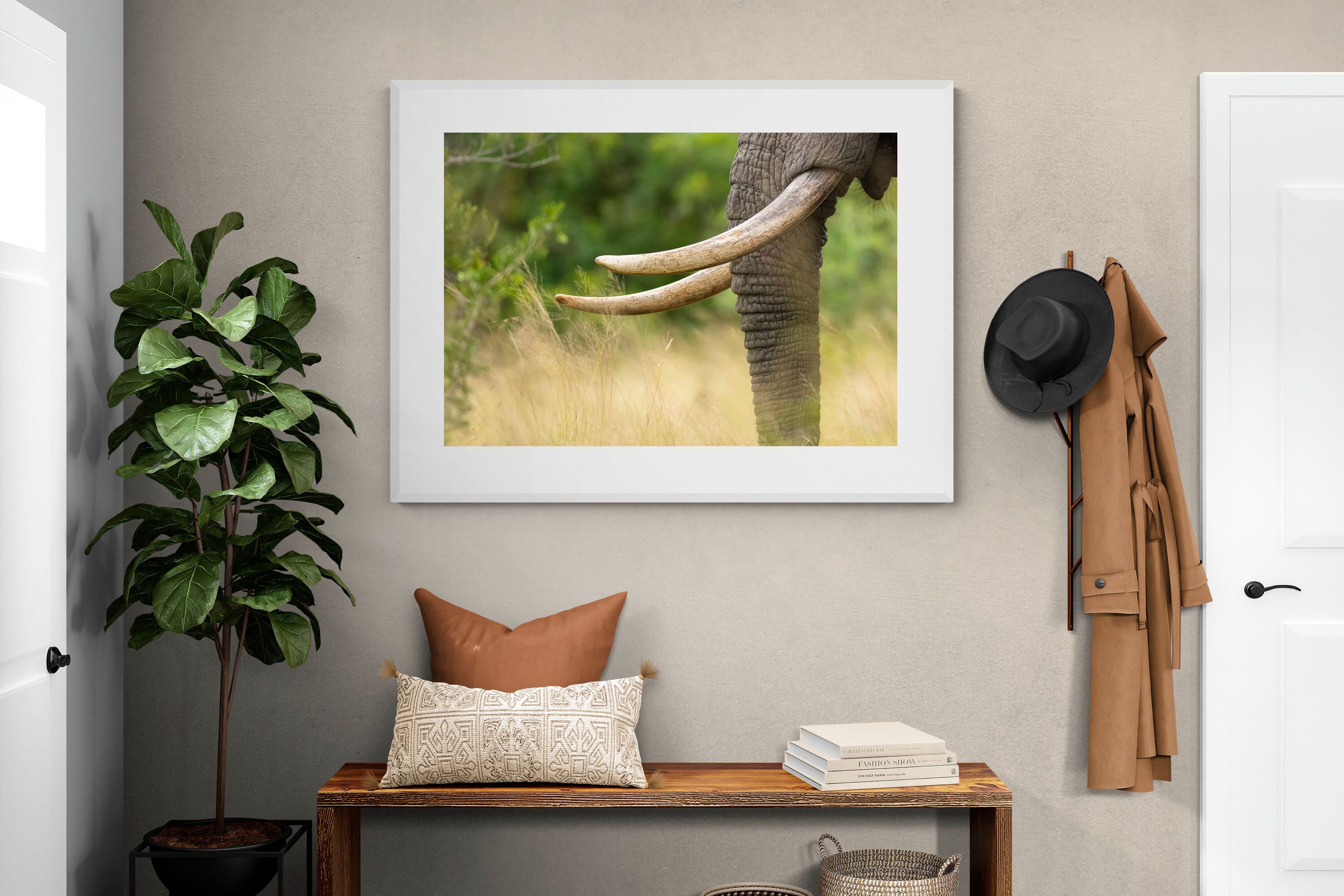 Pixalot ® Ivory Curve