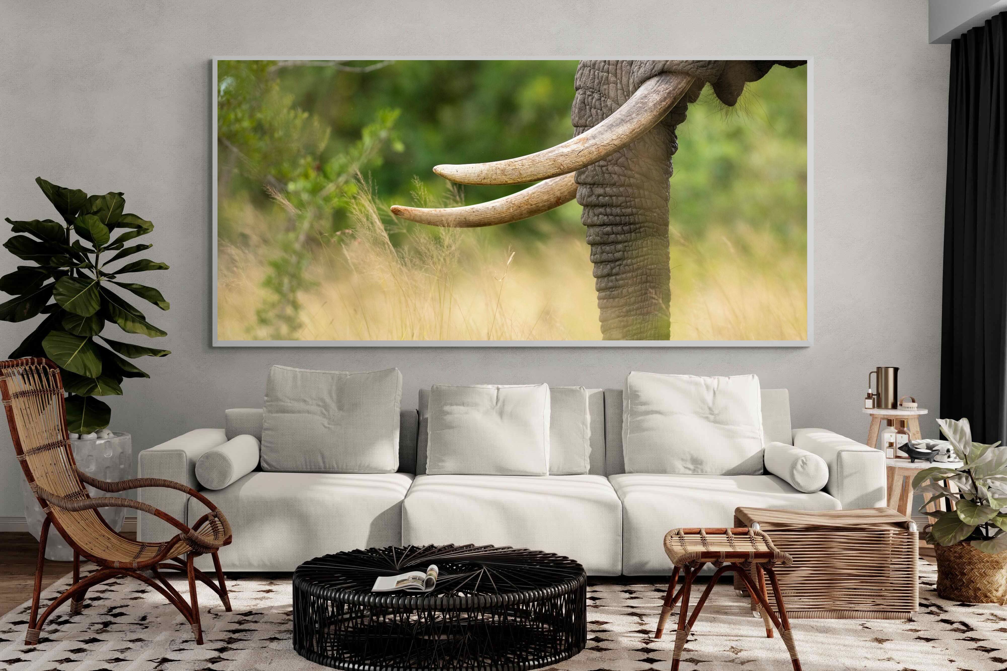 Pixalot ® Ivory Curve