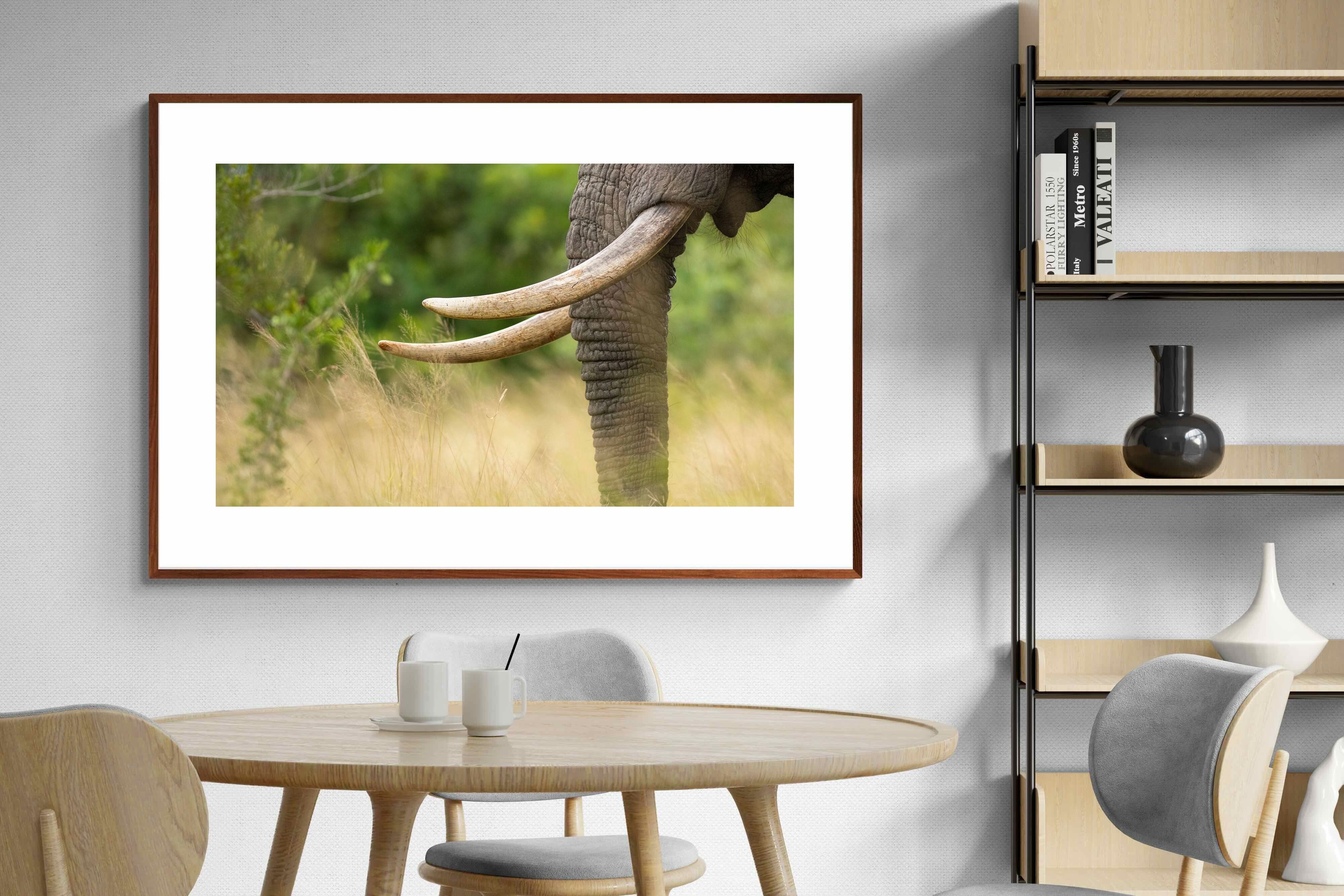 Pixalot ® Ivory Curve