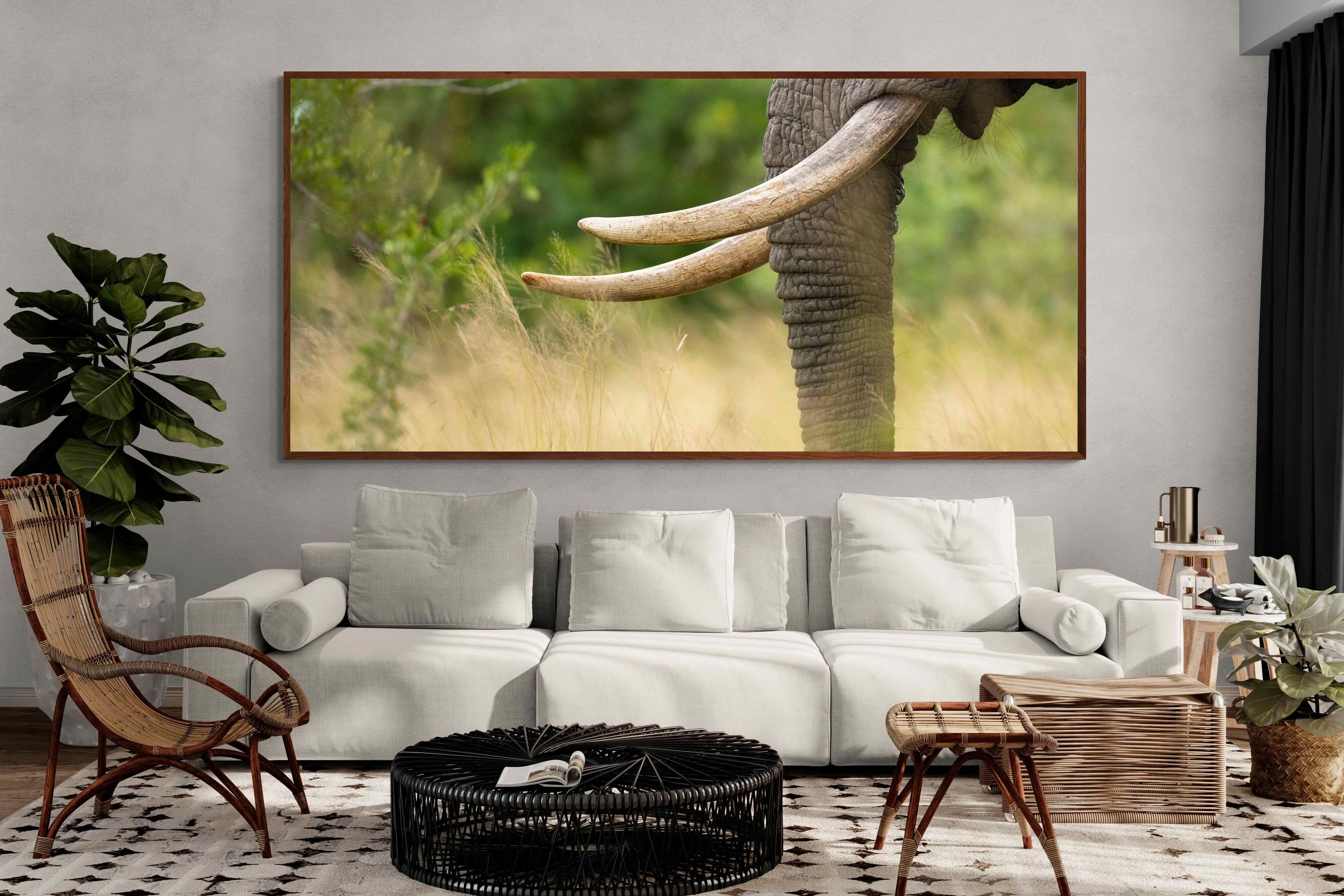 Pixalot ® Ivory Curve