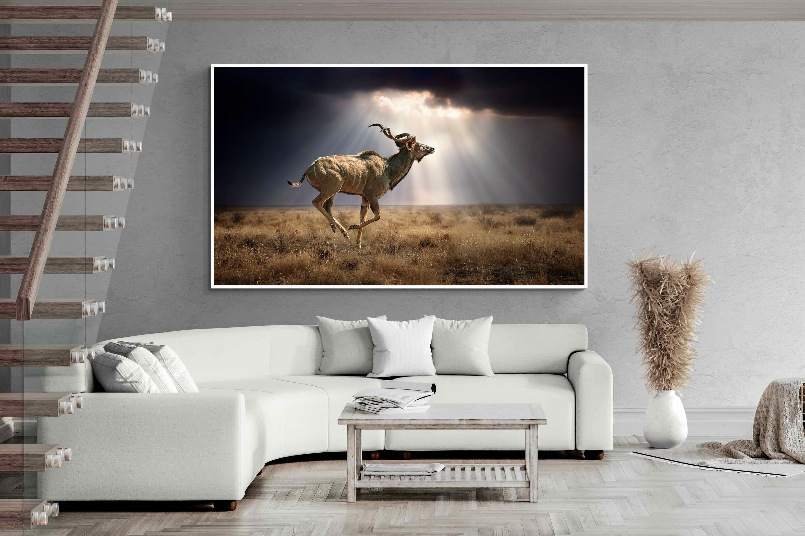 Pixalot ® Leap of Light