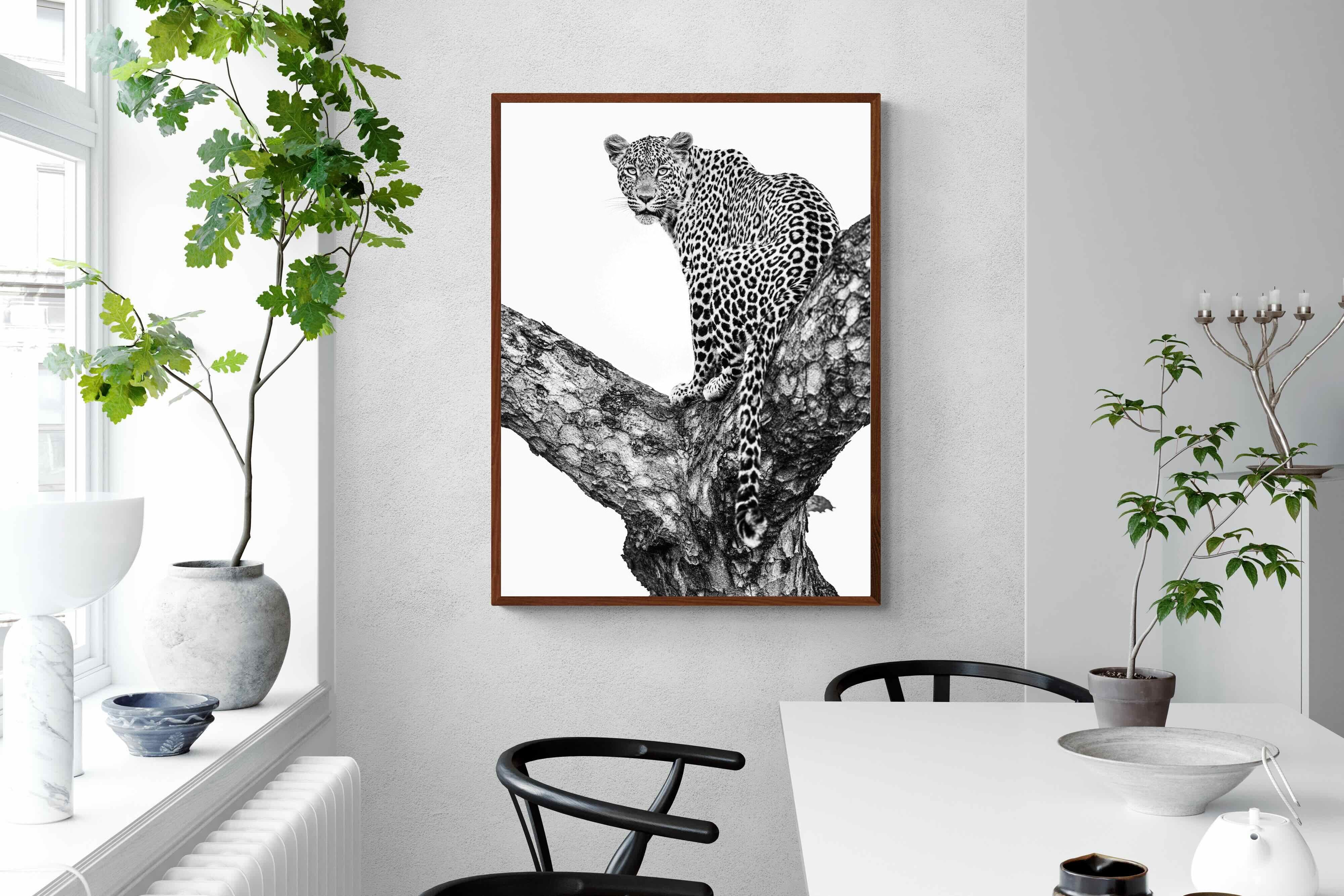 Pixalot ® Leopard in the Tree