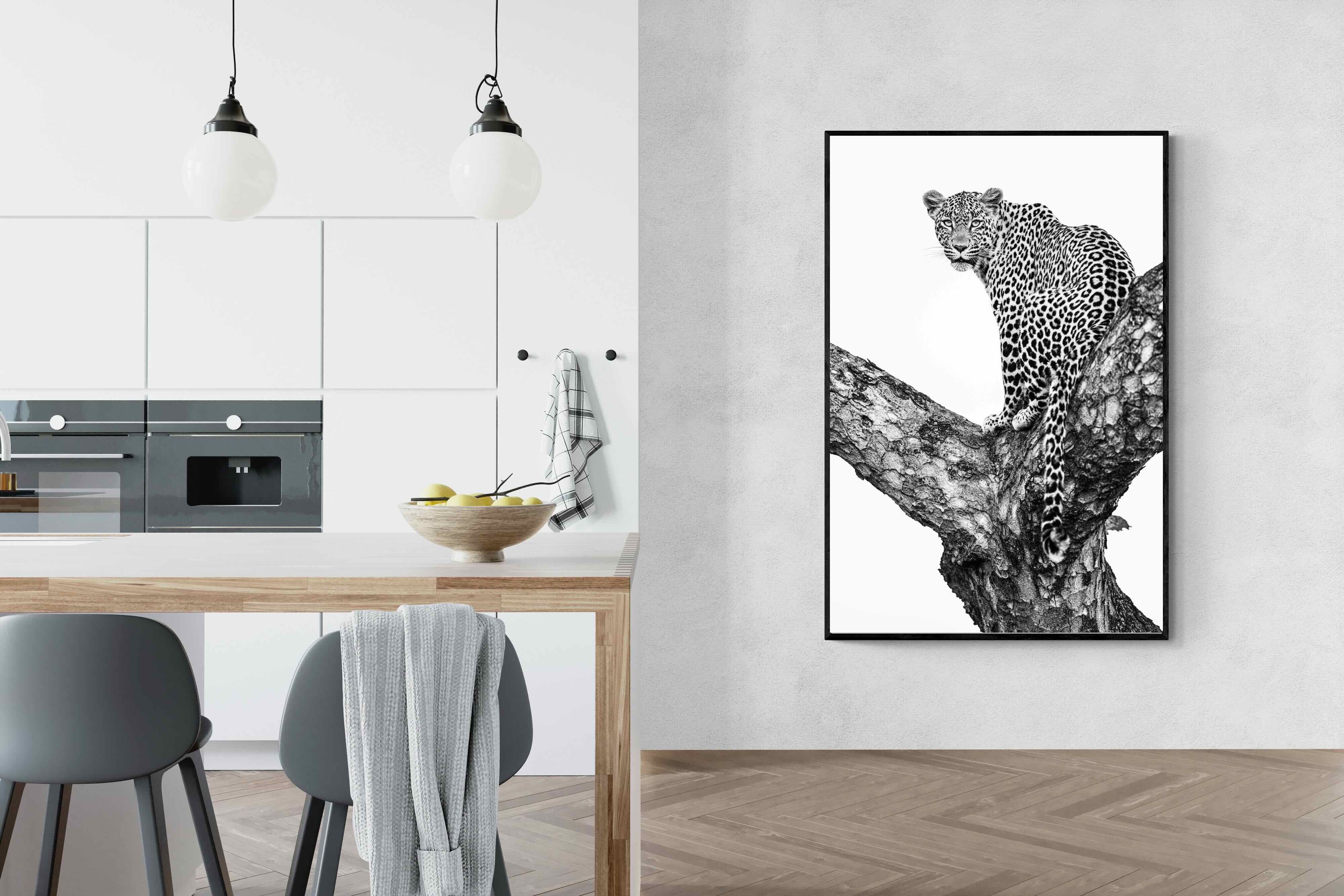 Pixalot ® Leopard in the Tree