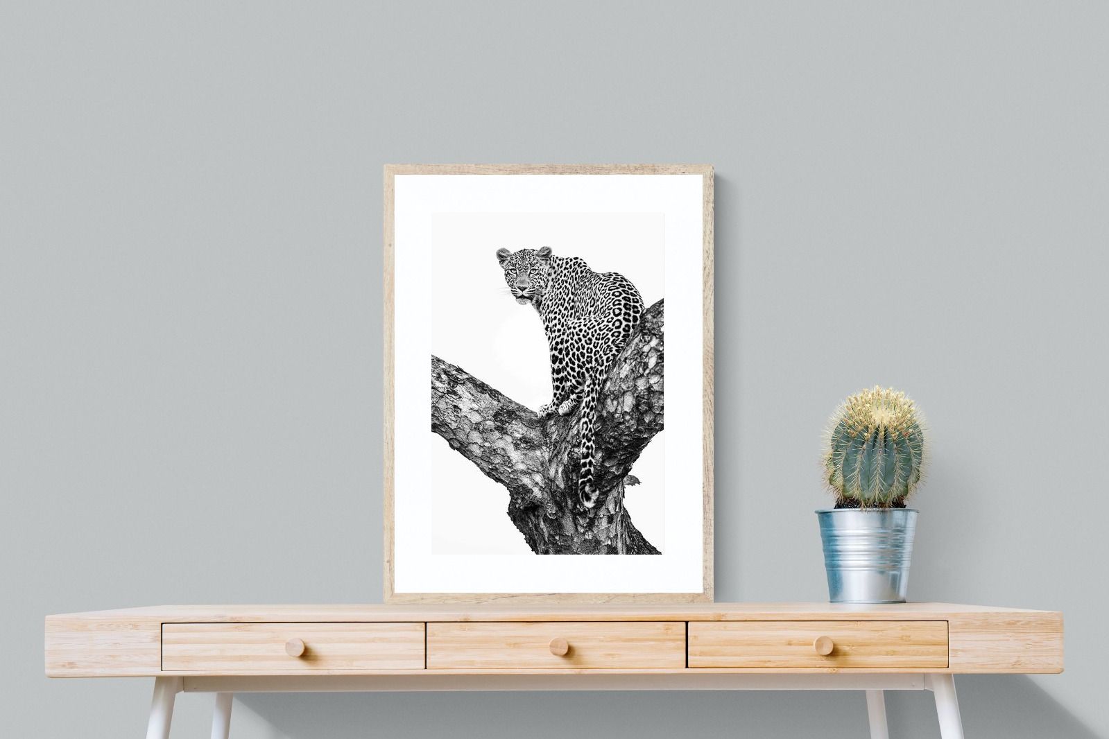 Pixalot ® Leopard in the Tree